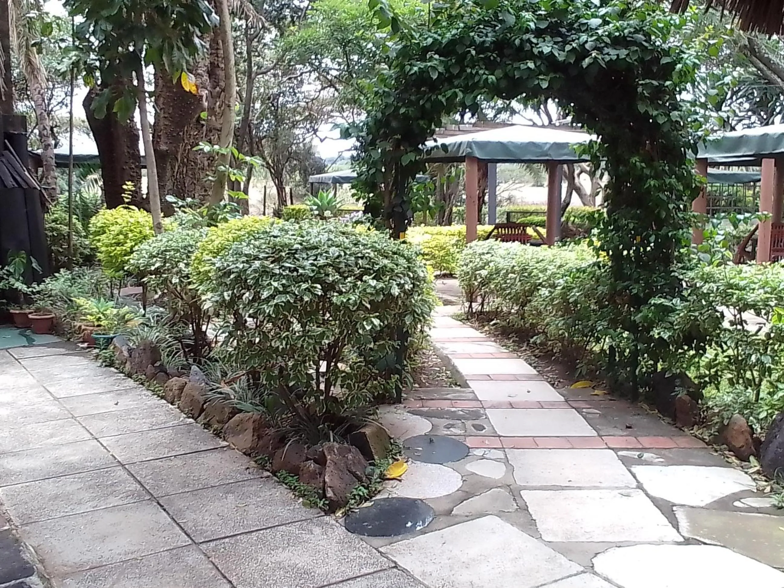 Property building in Mara River Lodge