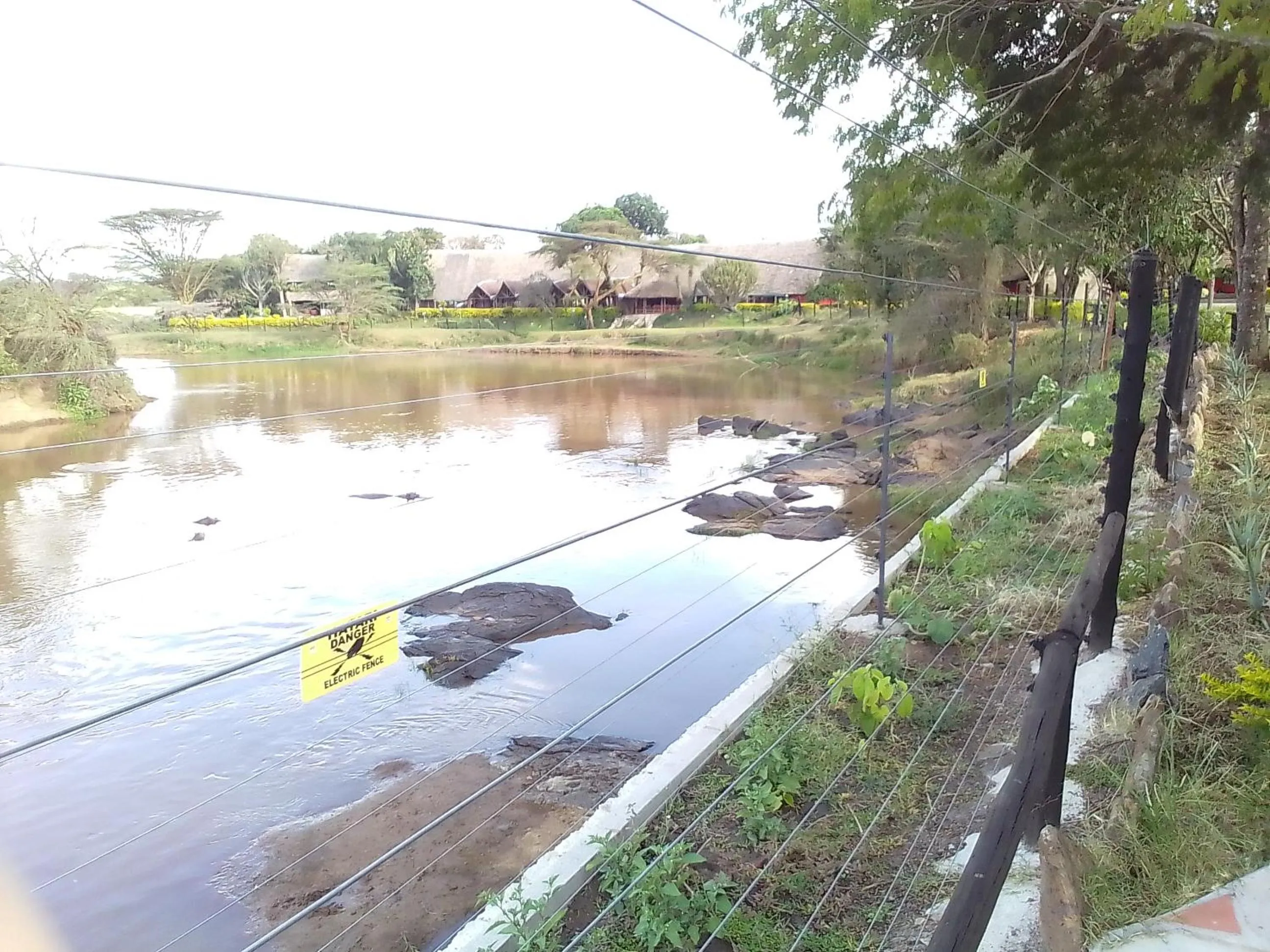 River view in Mara River Lodge
