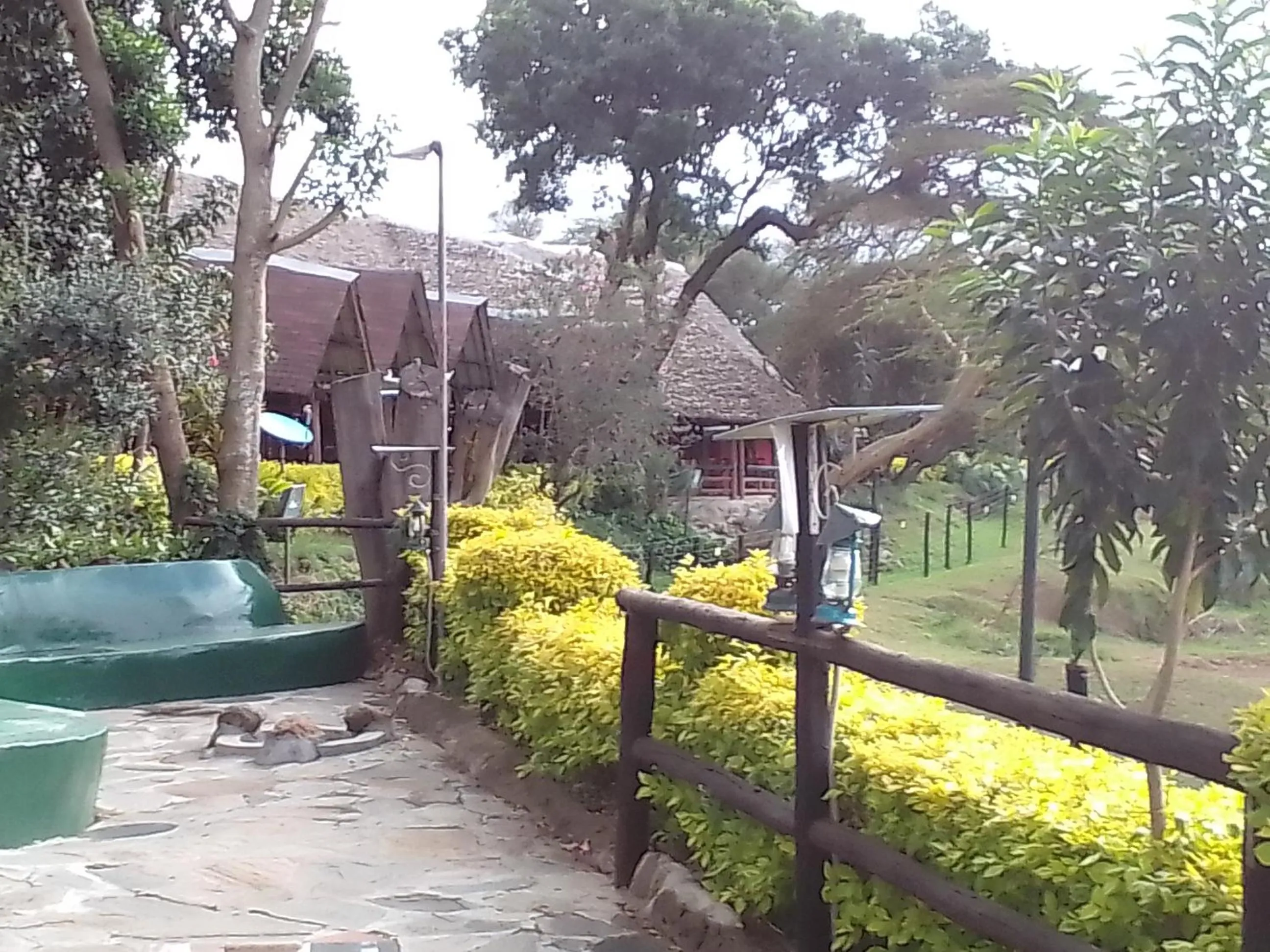 flat iron in Mara River Lodge