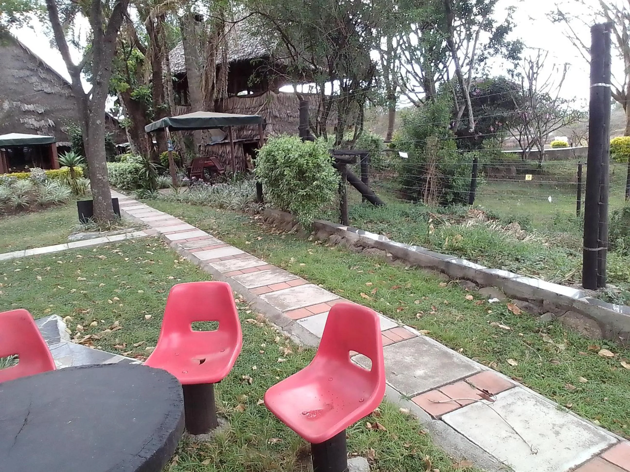 Other in Mara River Lodge