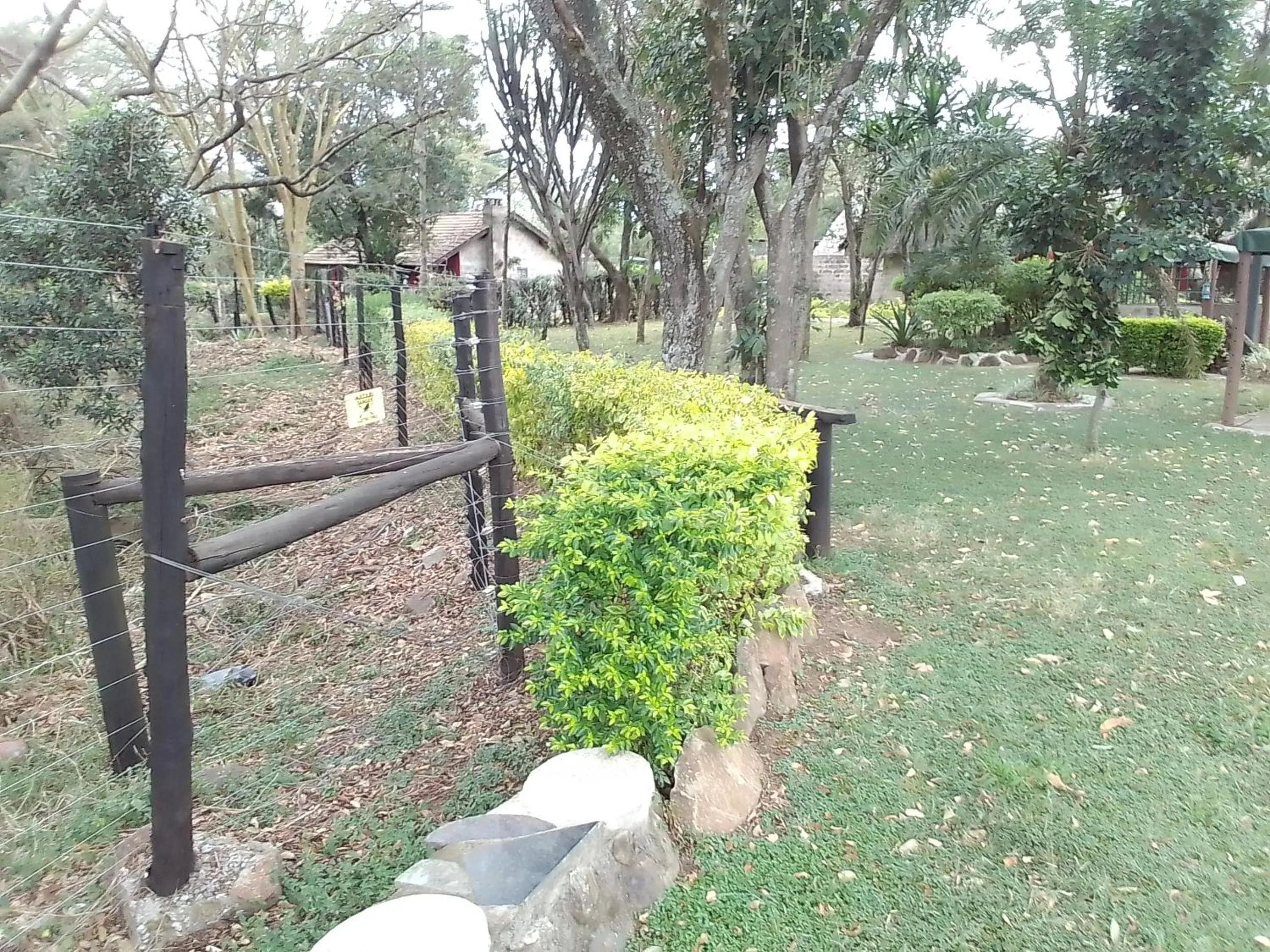 Property building in Mara River Lodge