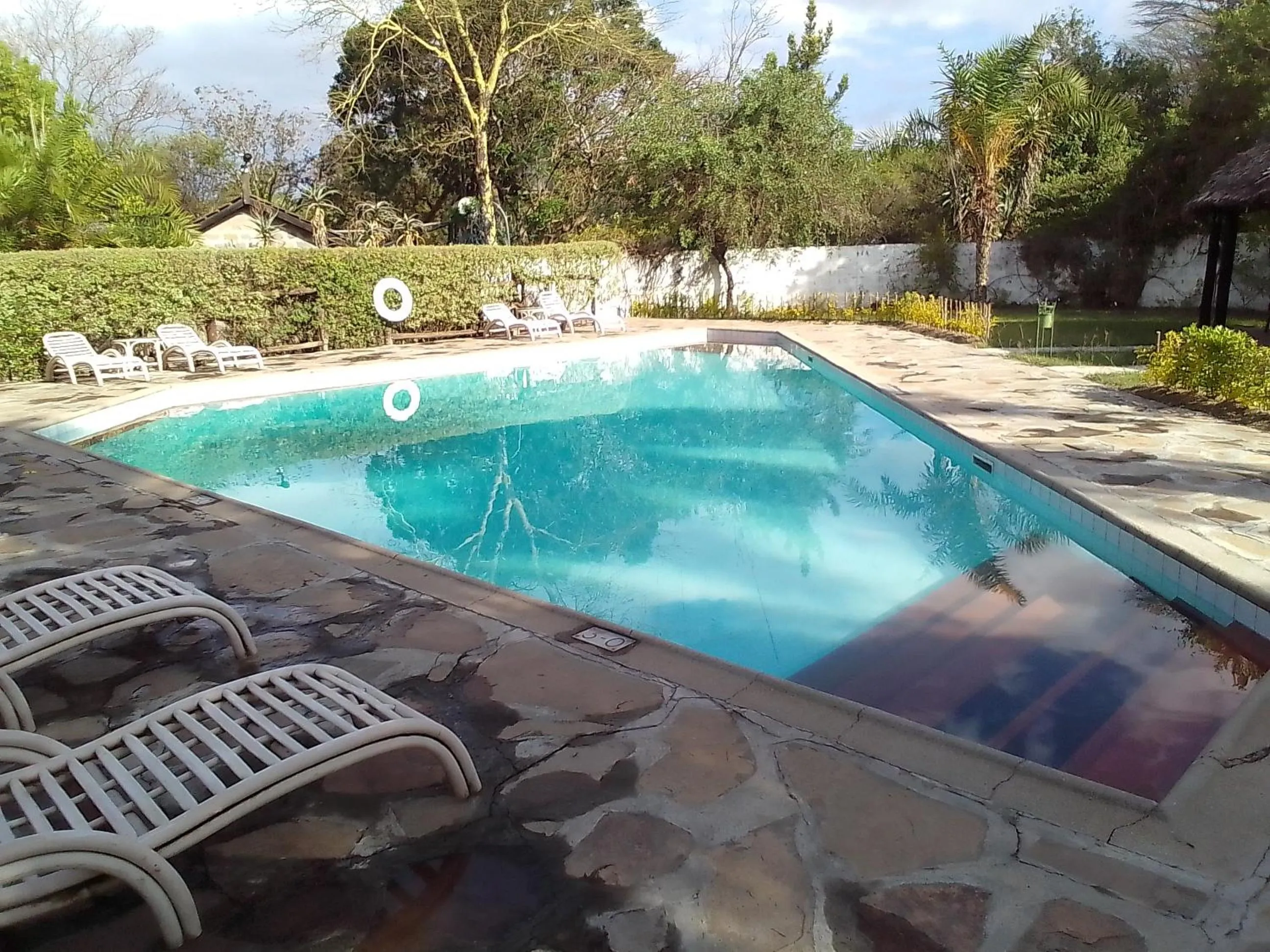 Swimming pool in Mara River Lodge