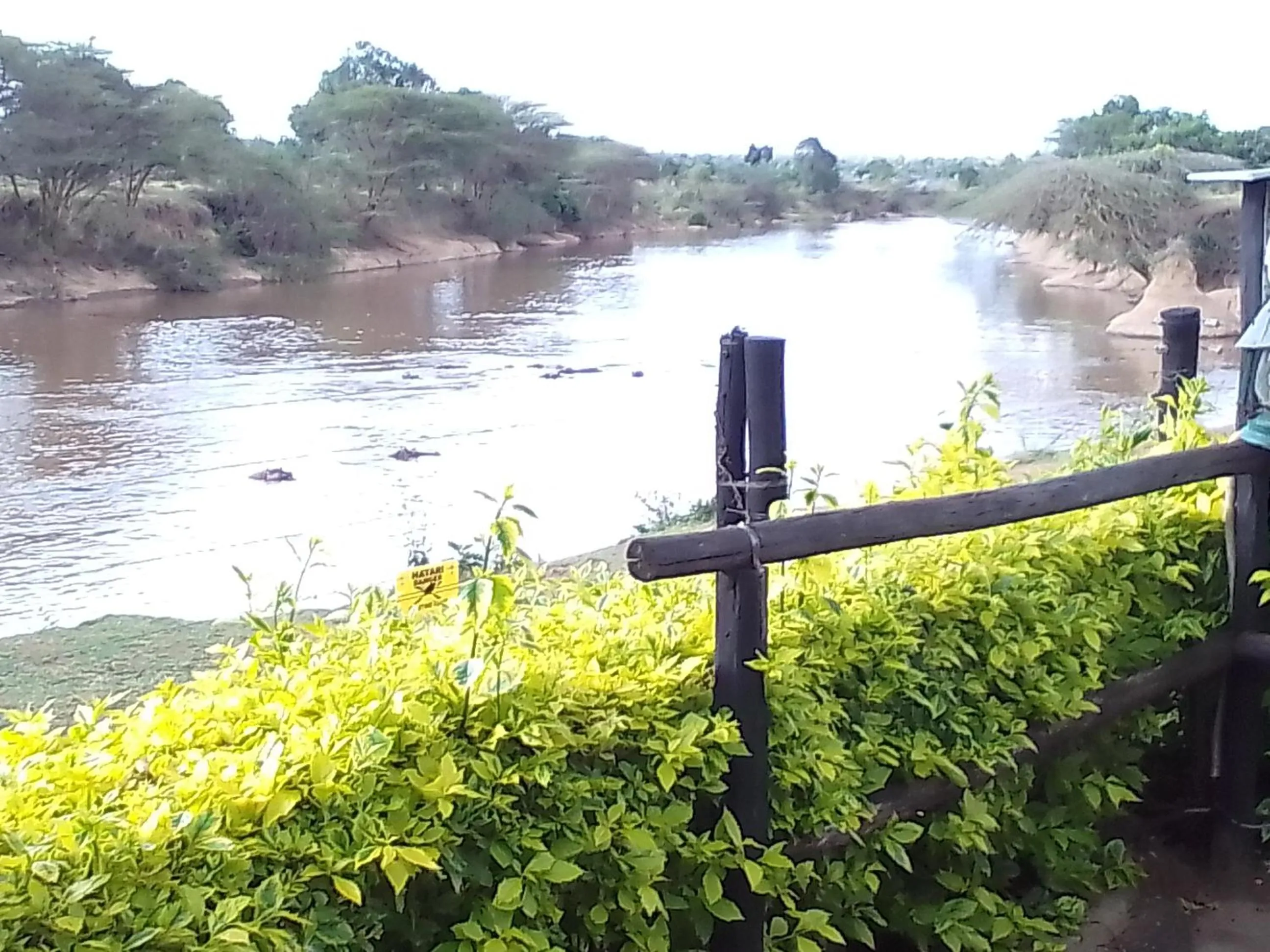 River view in Mara River Lodge