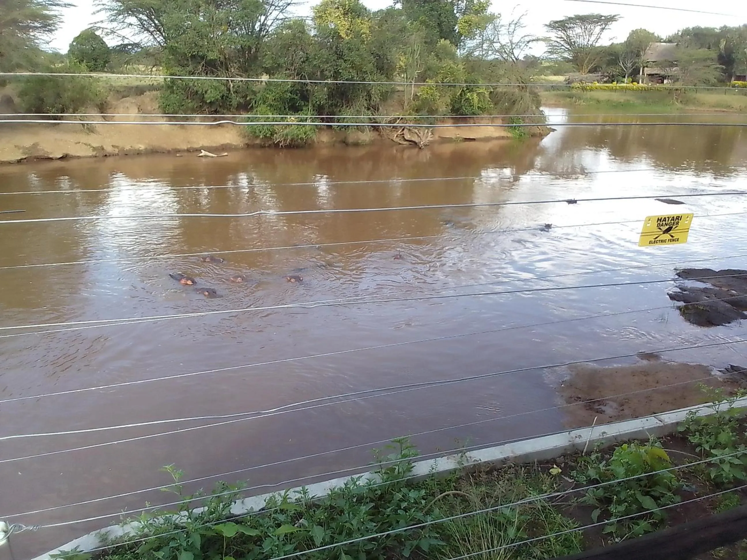 River view in Mara River Lodge