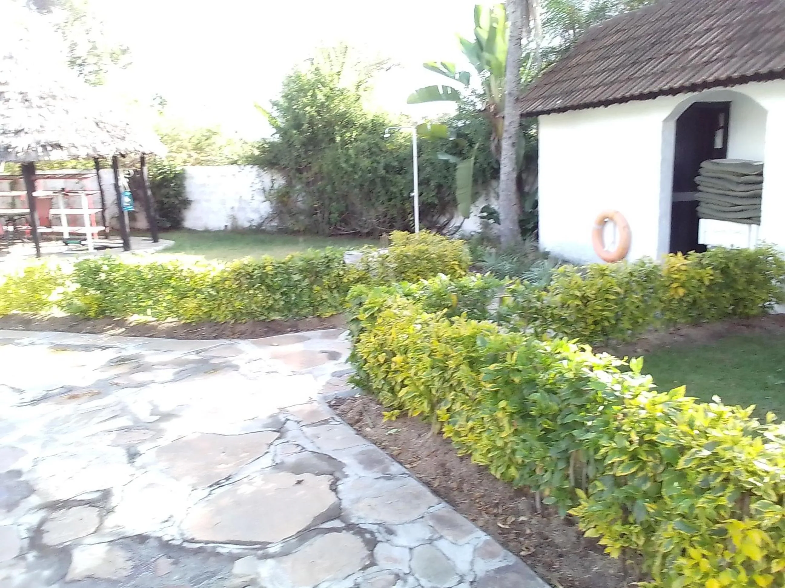 Swimming pool in Mara River Lodge