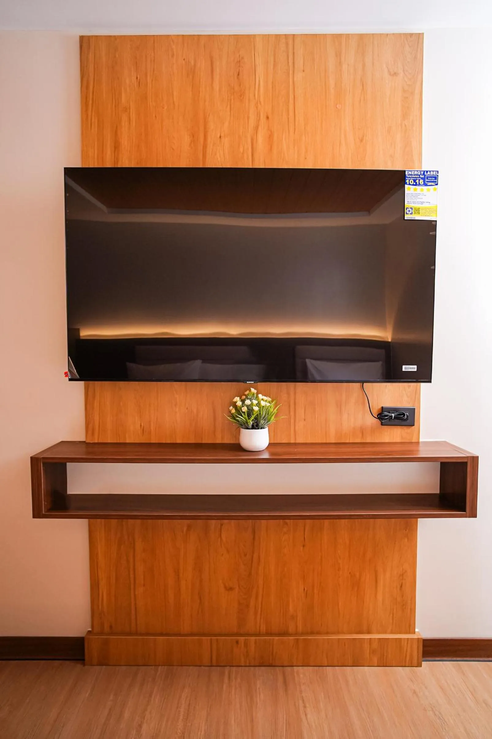 TV and multimedia in Gonzales Hotel