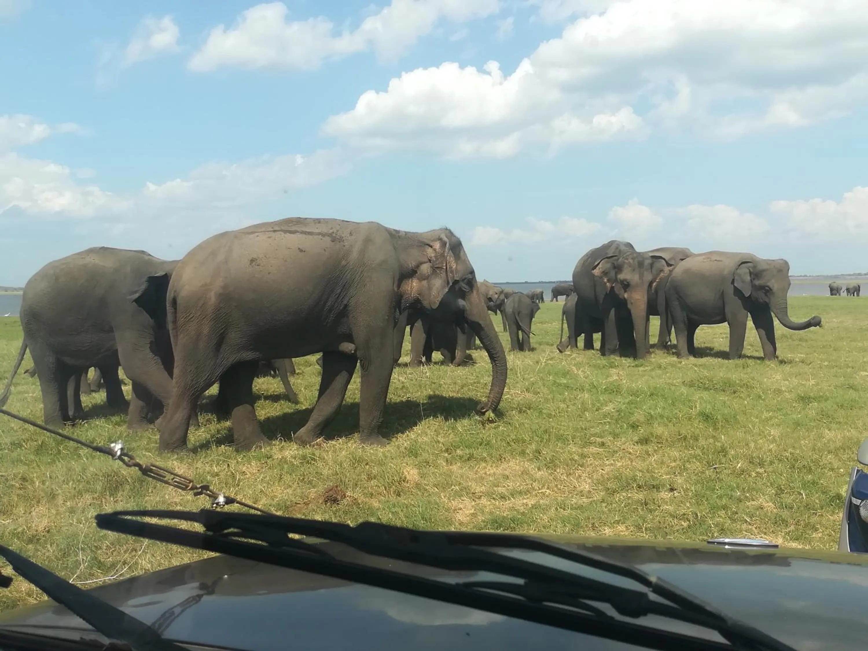 Activities in Sisira Natural Lodge - Sigiriya