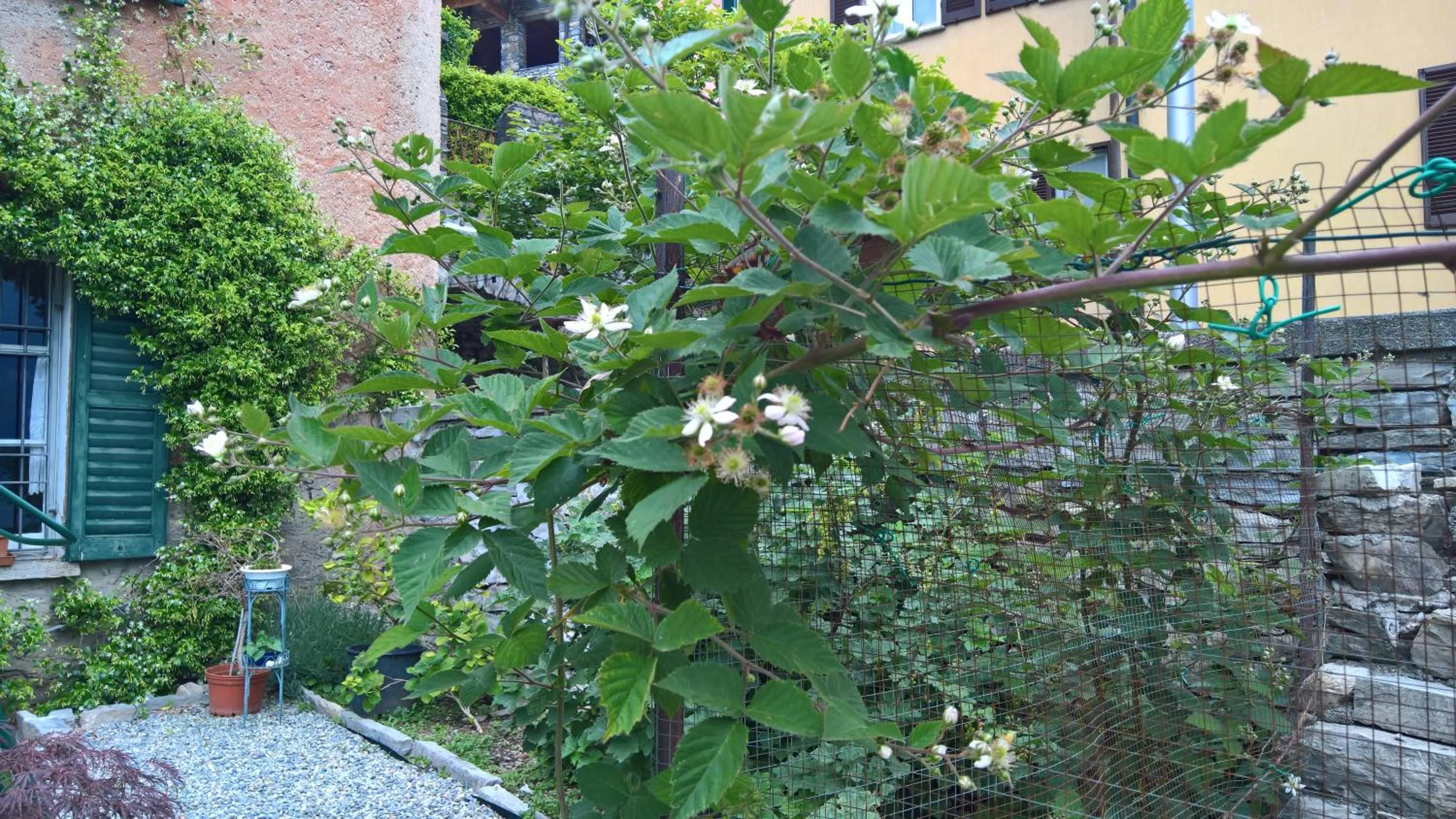 Property building in B&B "A Casa di Camilla"