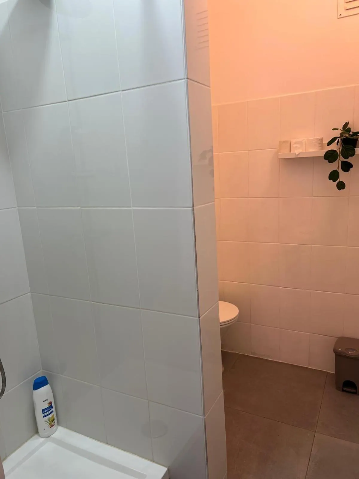 Shower in Alvalade II Airport Guest House