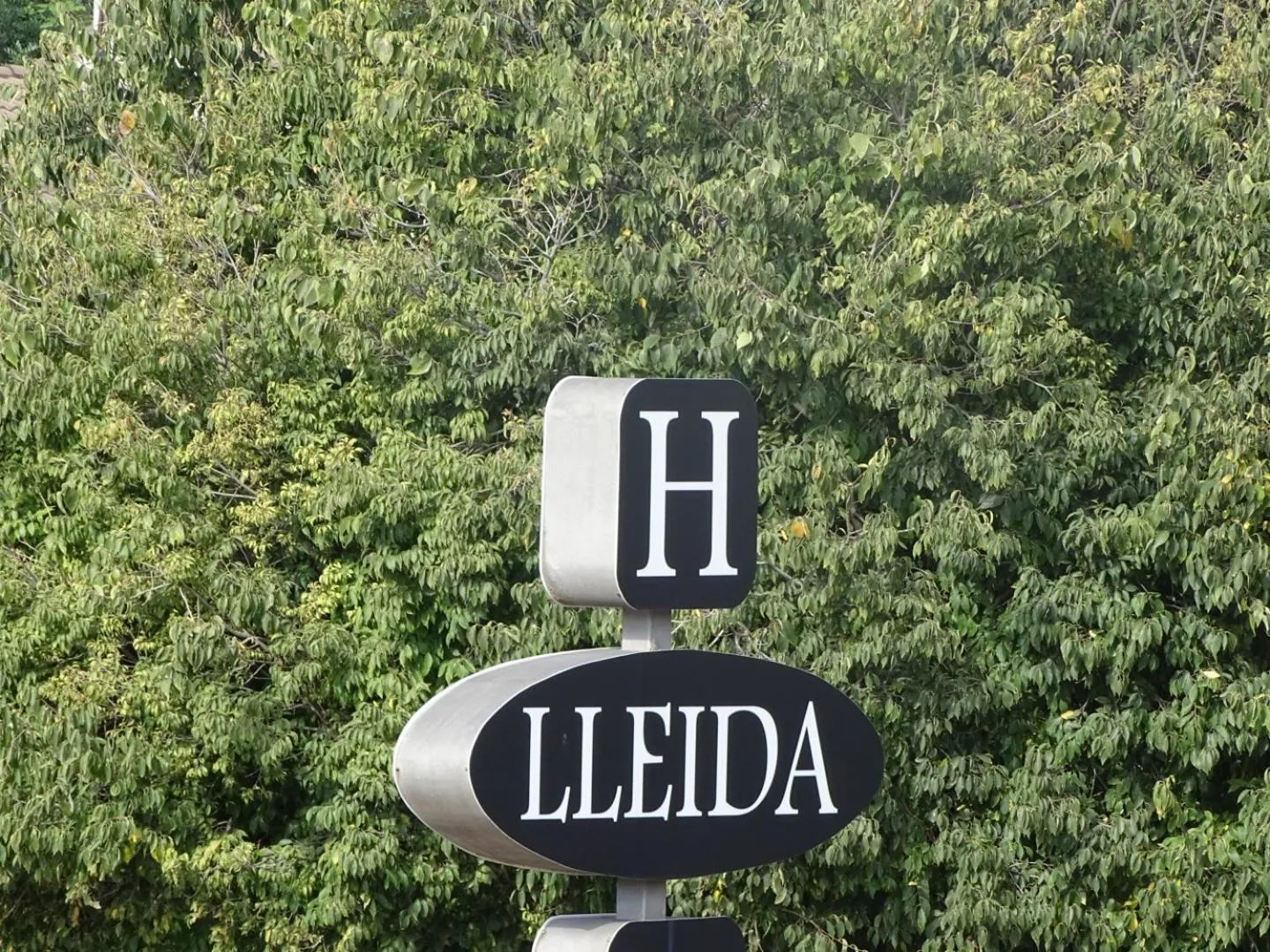 Logo/Certificate/Sign in Hostal Lleida