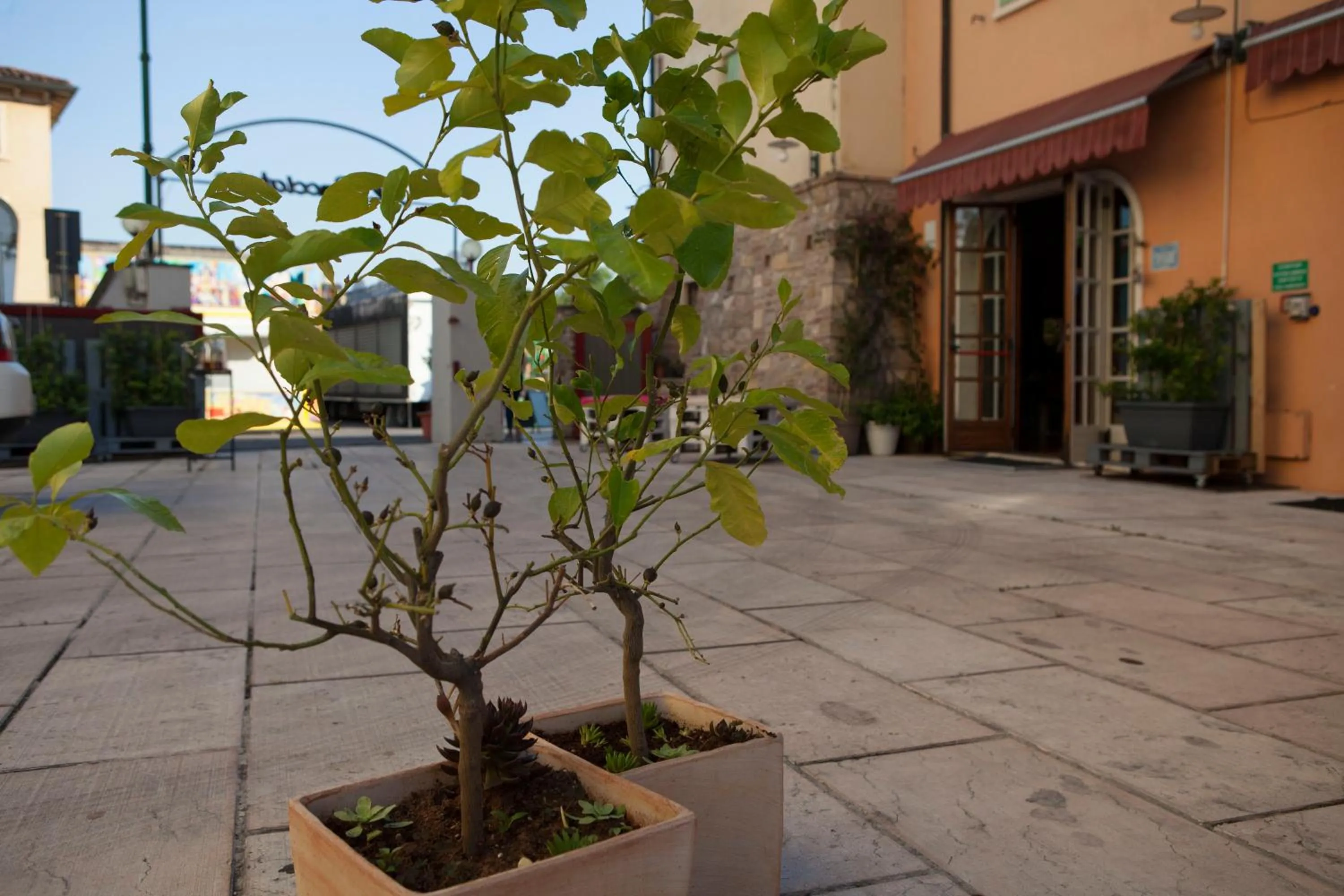 Decorative detail in Albergo Al Cacciatore Tortellinando