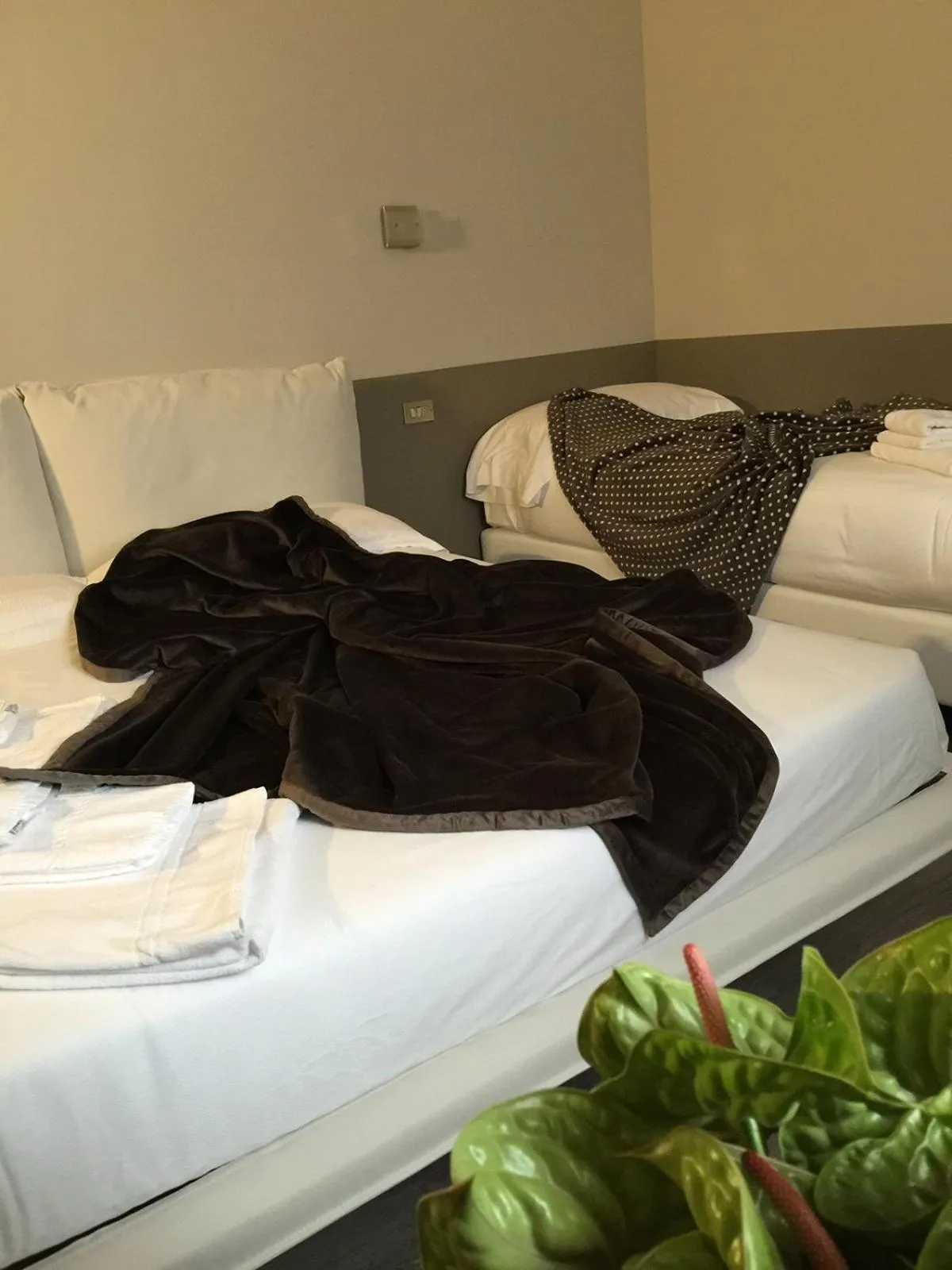 Bed in Albergo Al Cacciatore Tortellinando