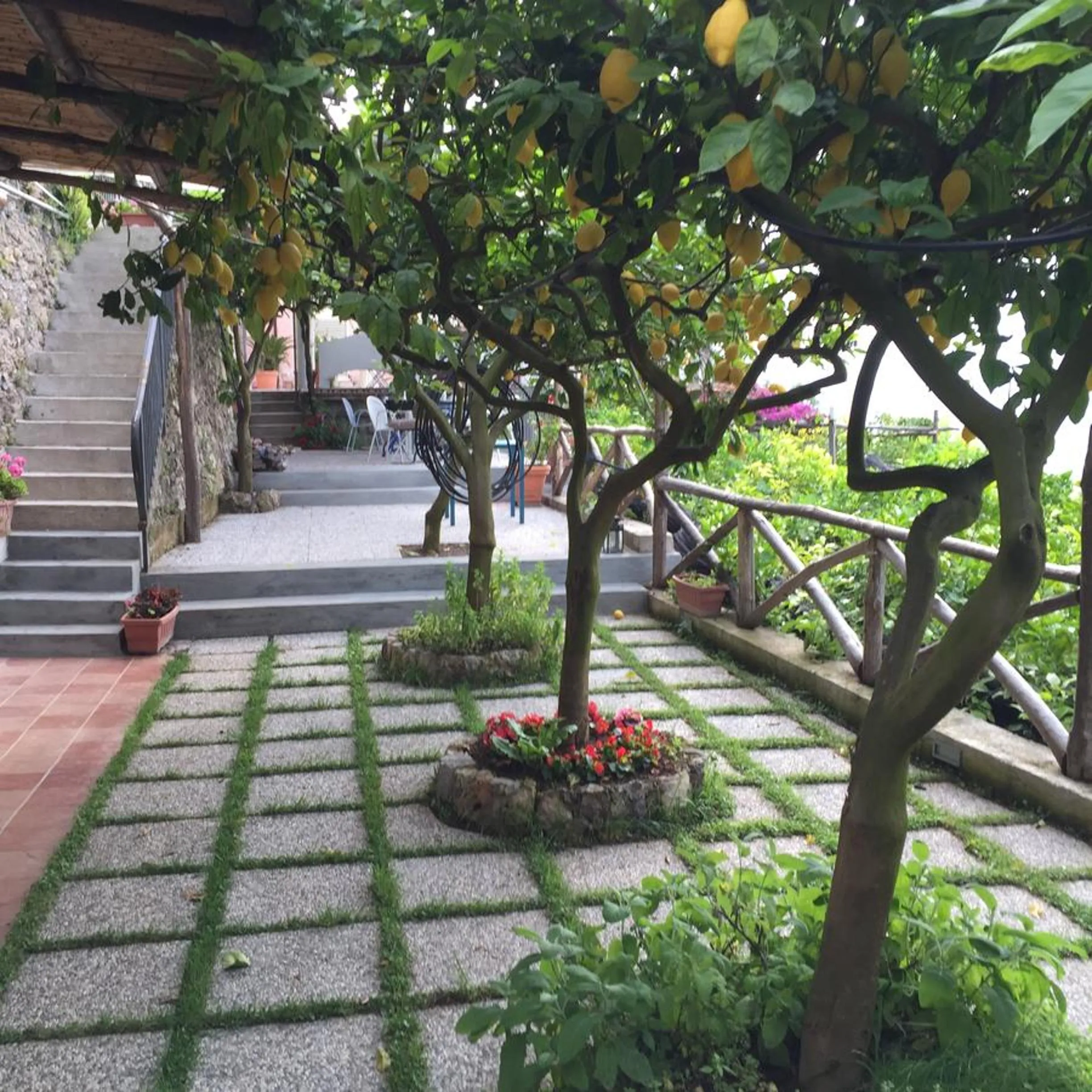 Garden in b&b I Limoni