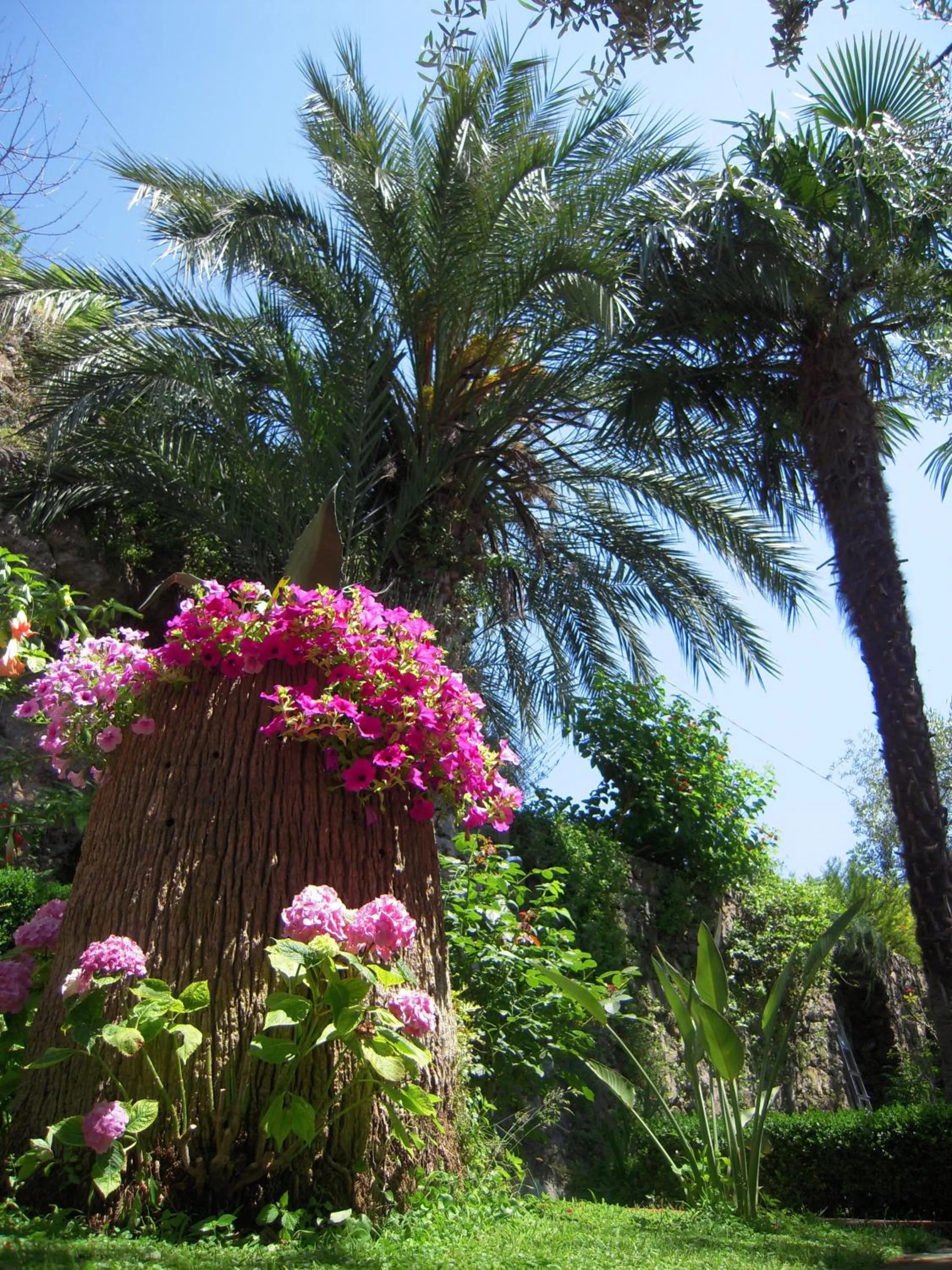 Spring in b&b I Limoni