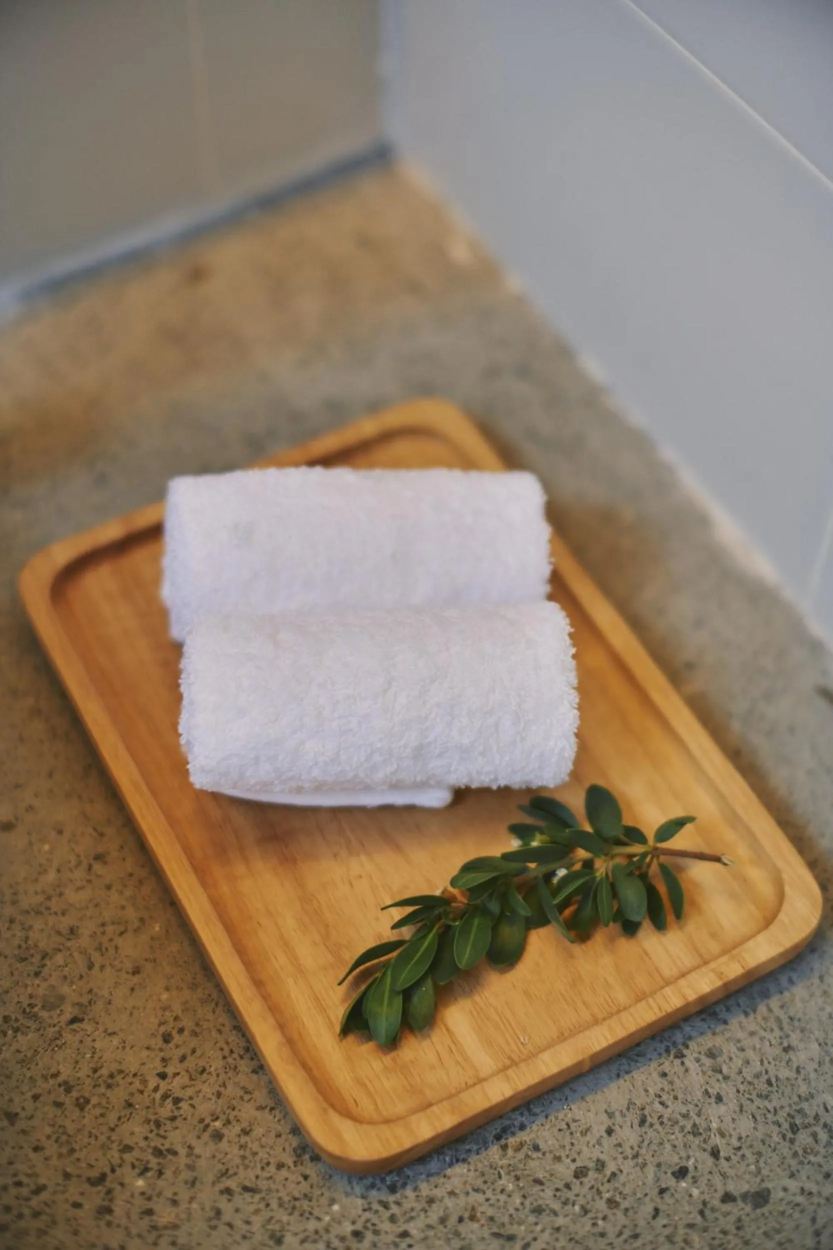 Araaik Beach Village