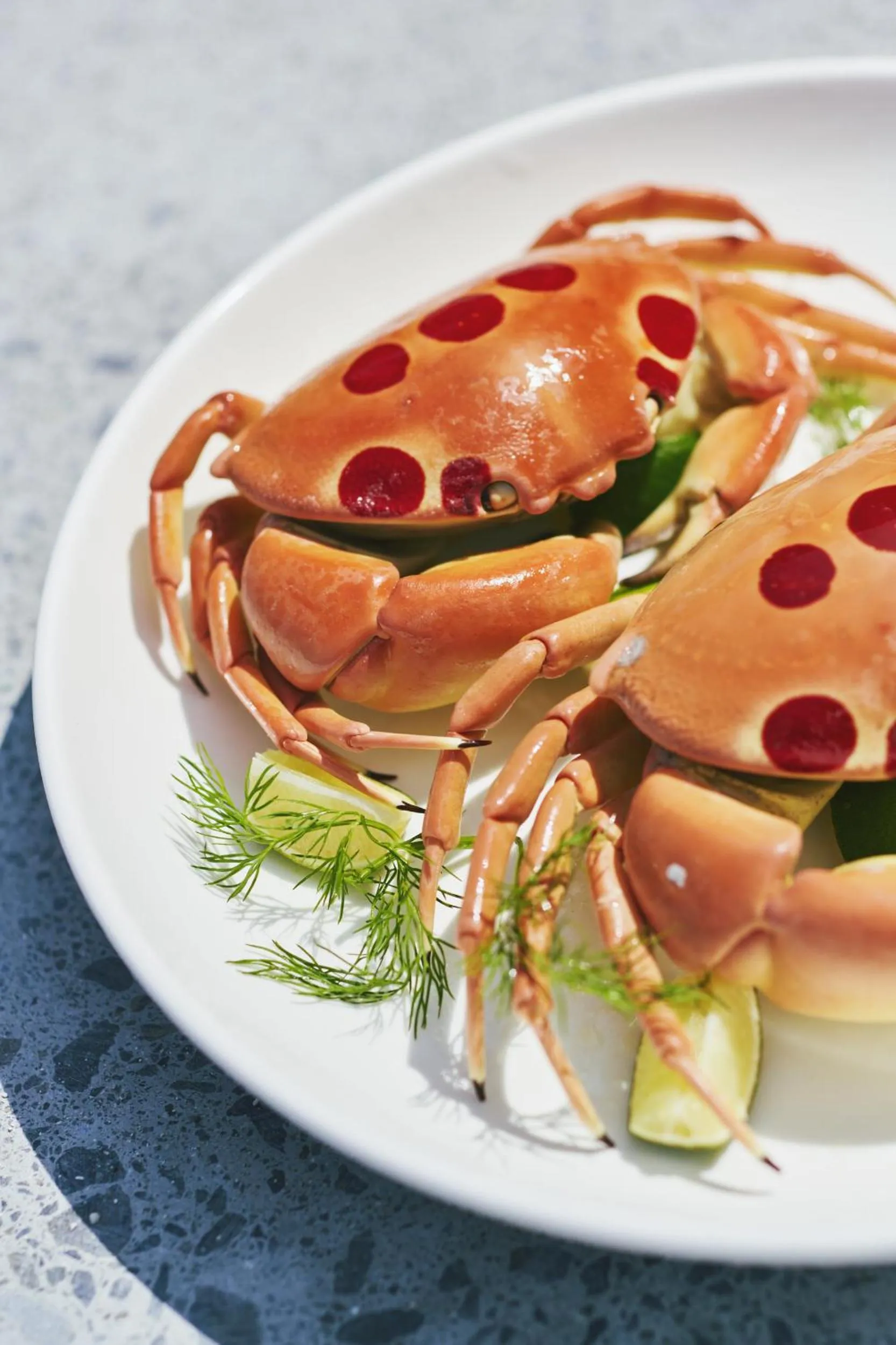 Araaik Beach Village