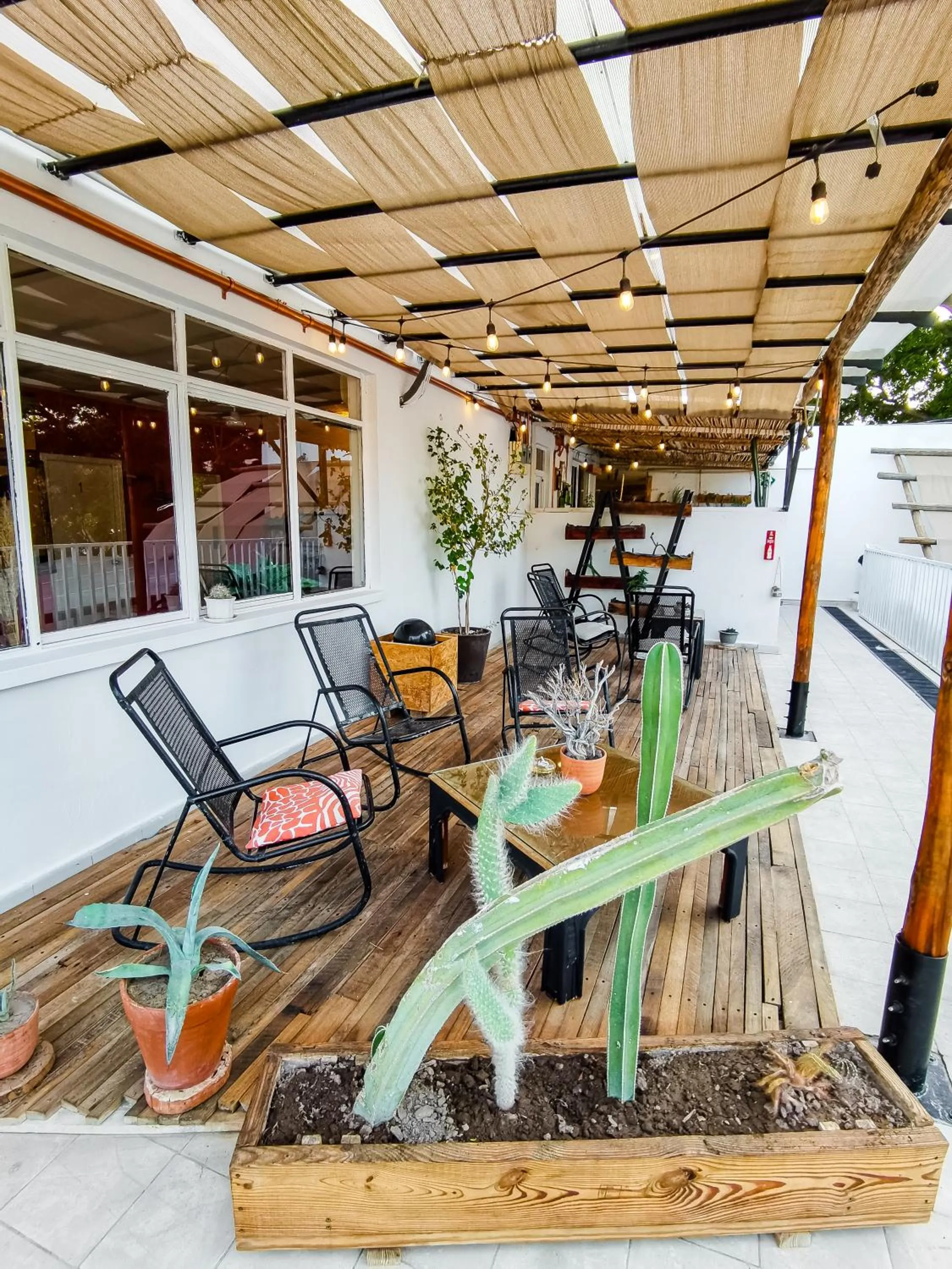 Patio in Hotel Casa los Abuelos