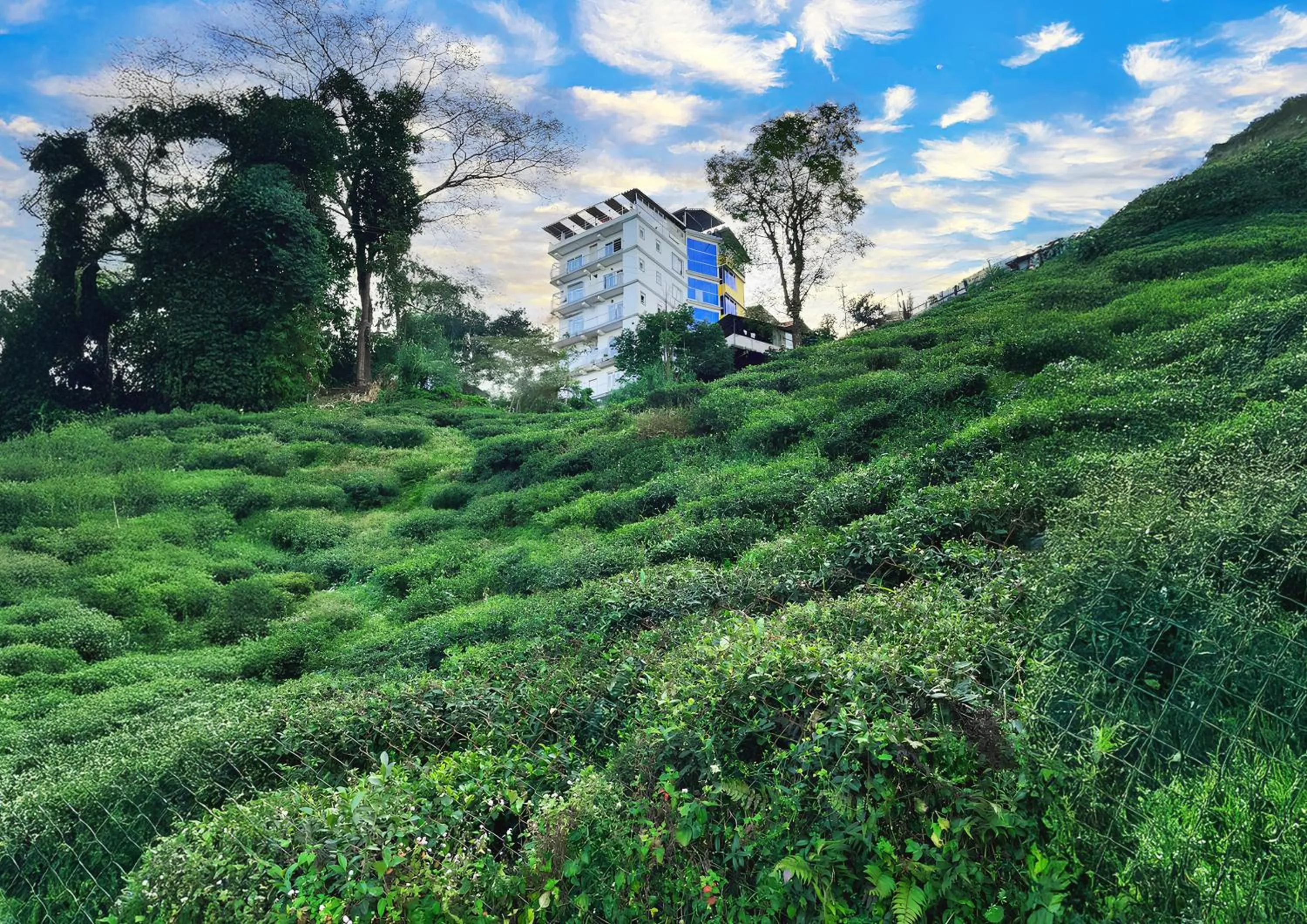 Property building in Mount Bashera Boutique Hotel