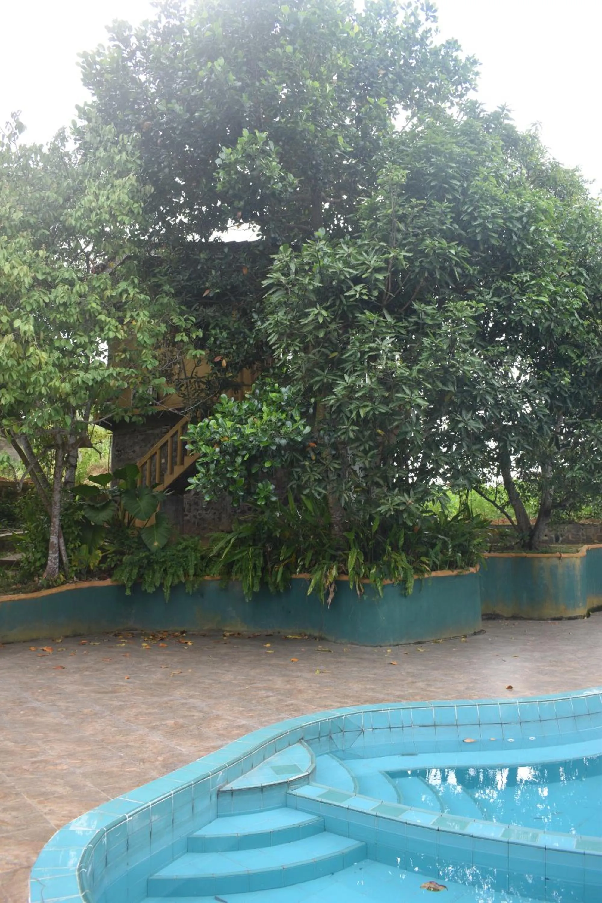 Shiny Lakeside Resort