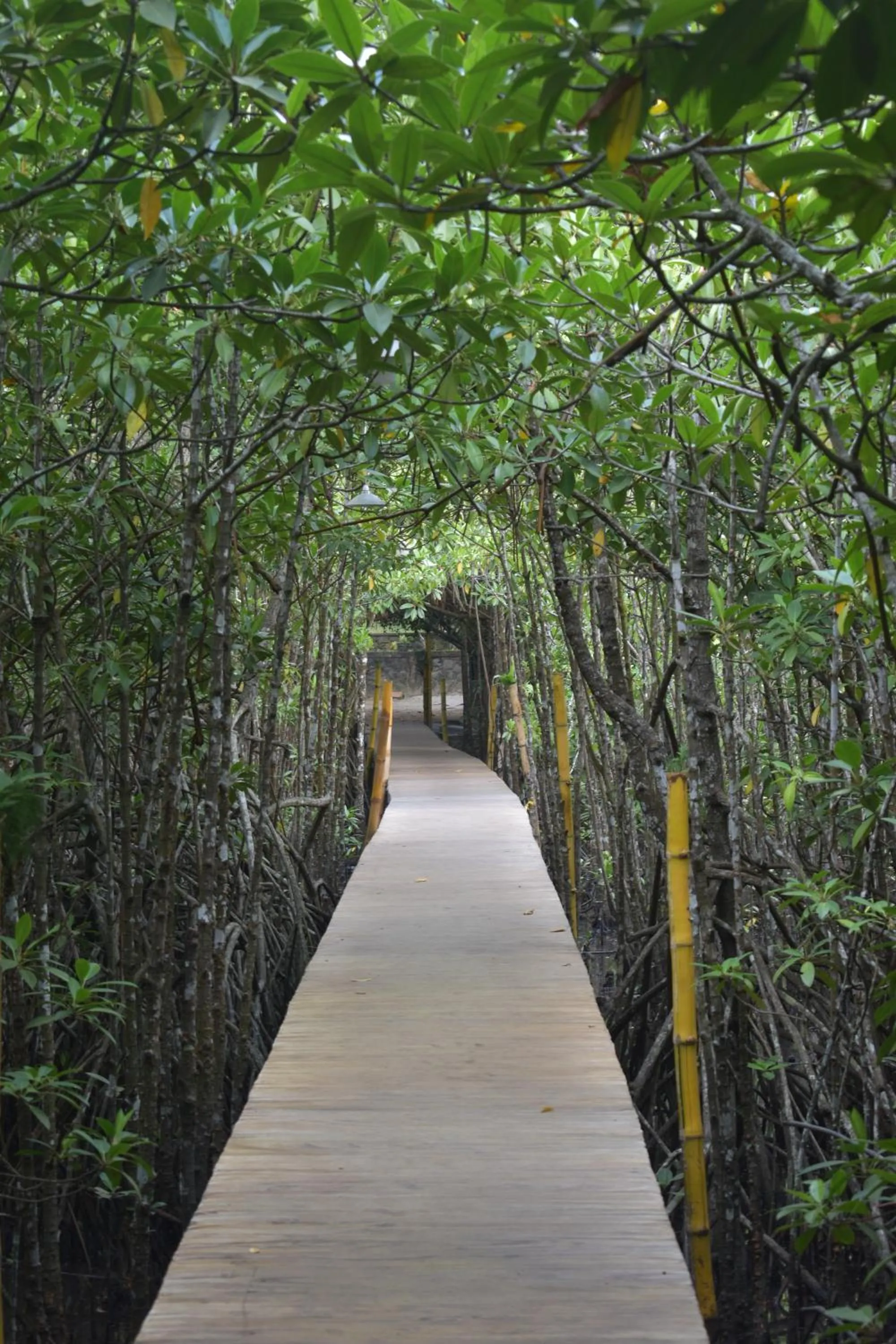 Natural landscape in Shiny Lakeside Resort