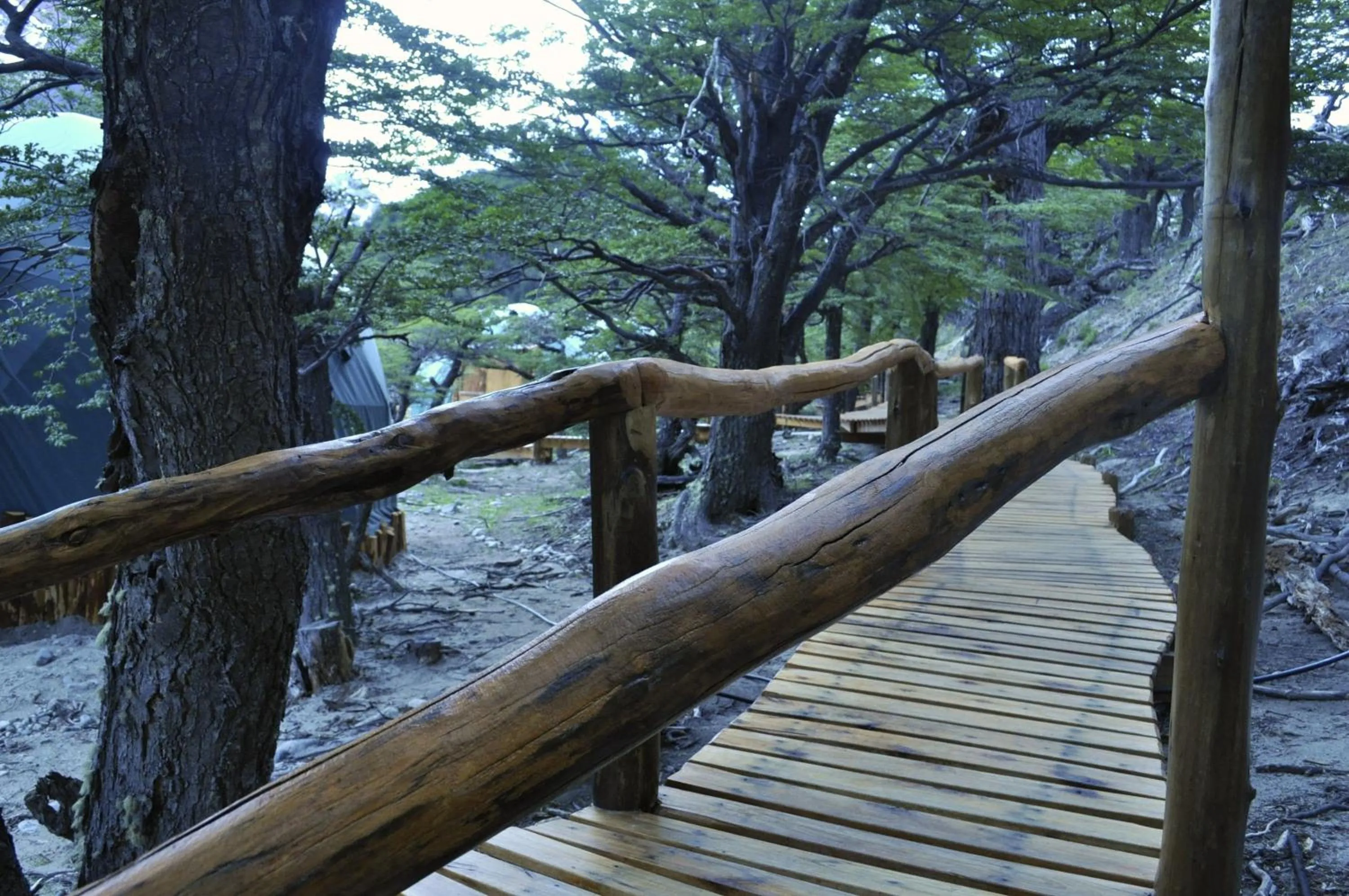 Area and facilities in Patagonia Eco Domes