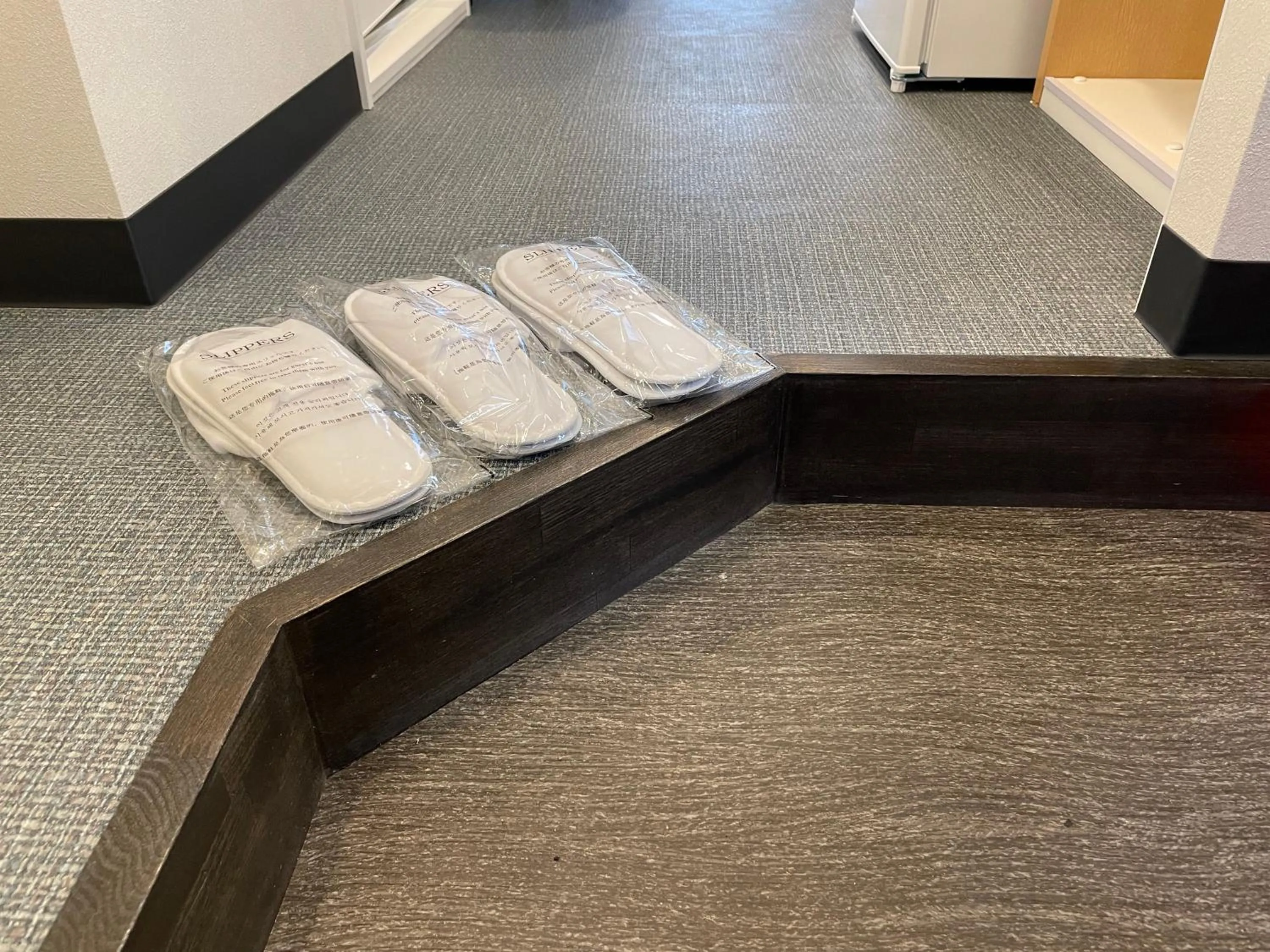 Other in Hotel Living Inn Kenchoumaeeki