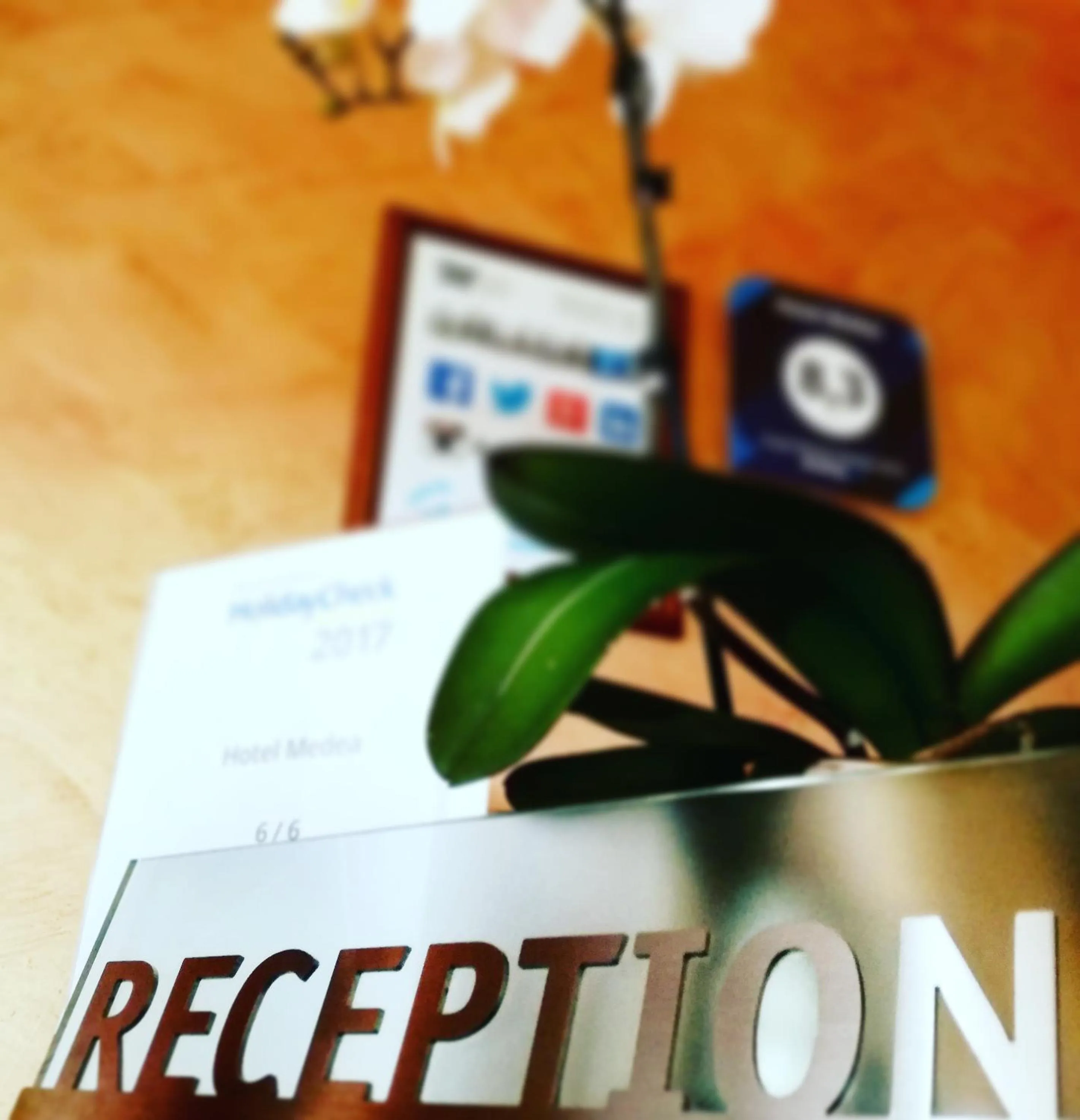 Lobby or reception in Hotel Medea