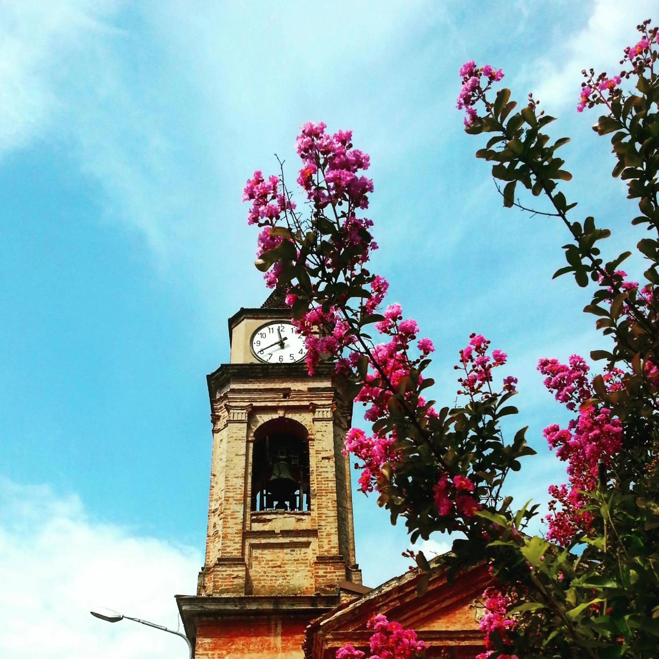 Natural landscape in Hotel Medea