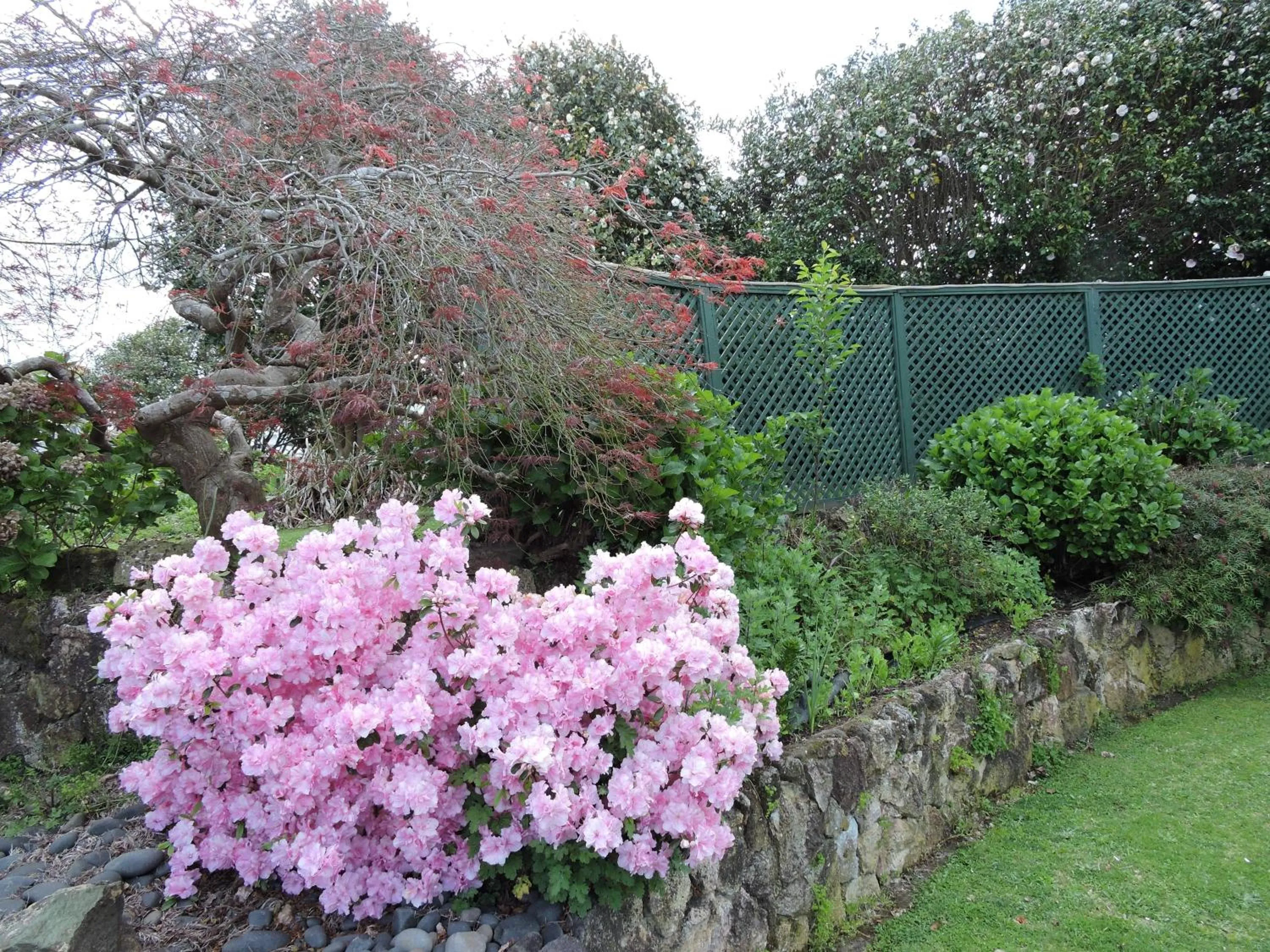 Garden in Maple Lodge Motel