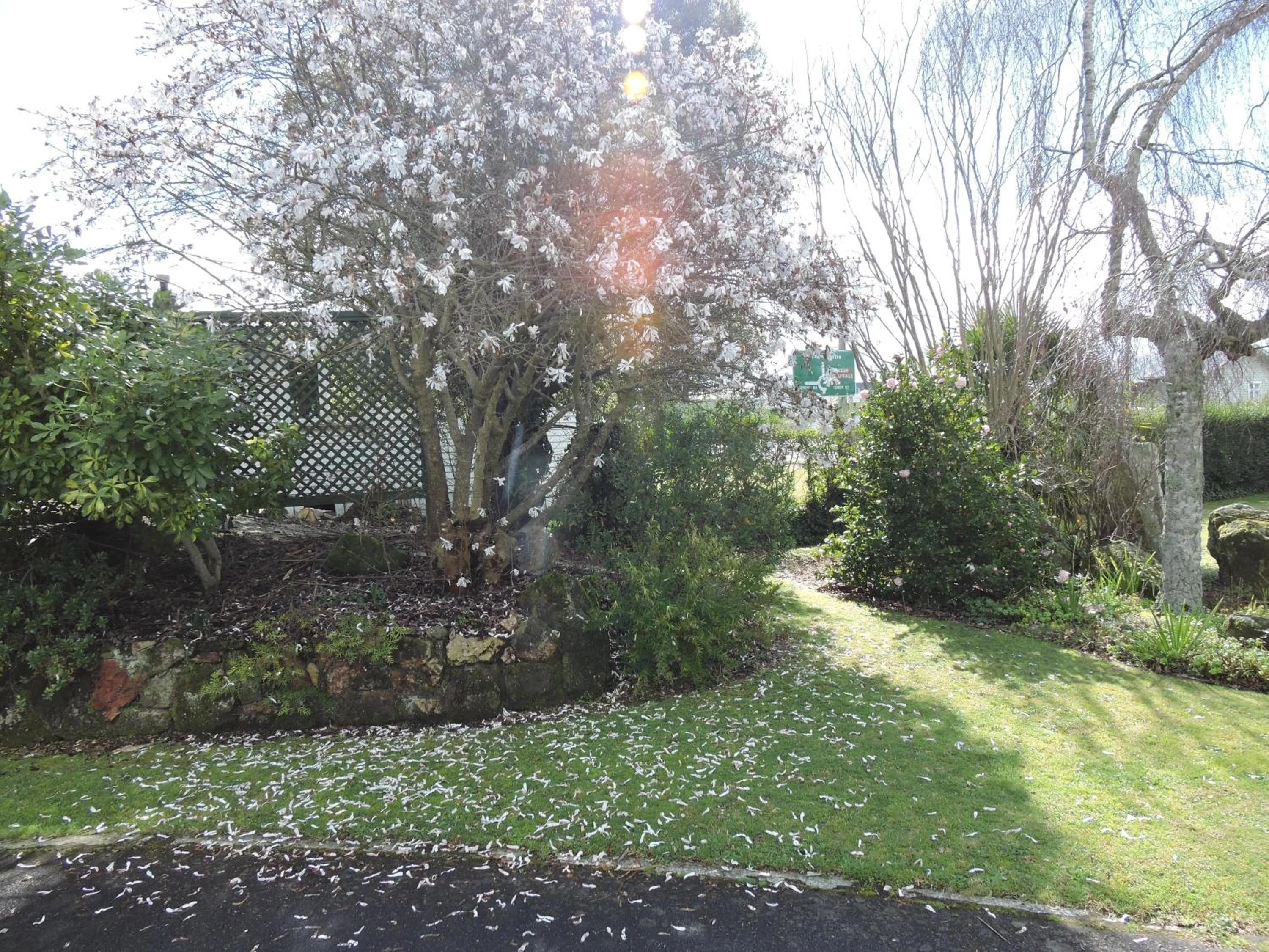 Garden in Maple Lodge Motel