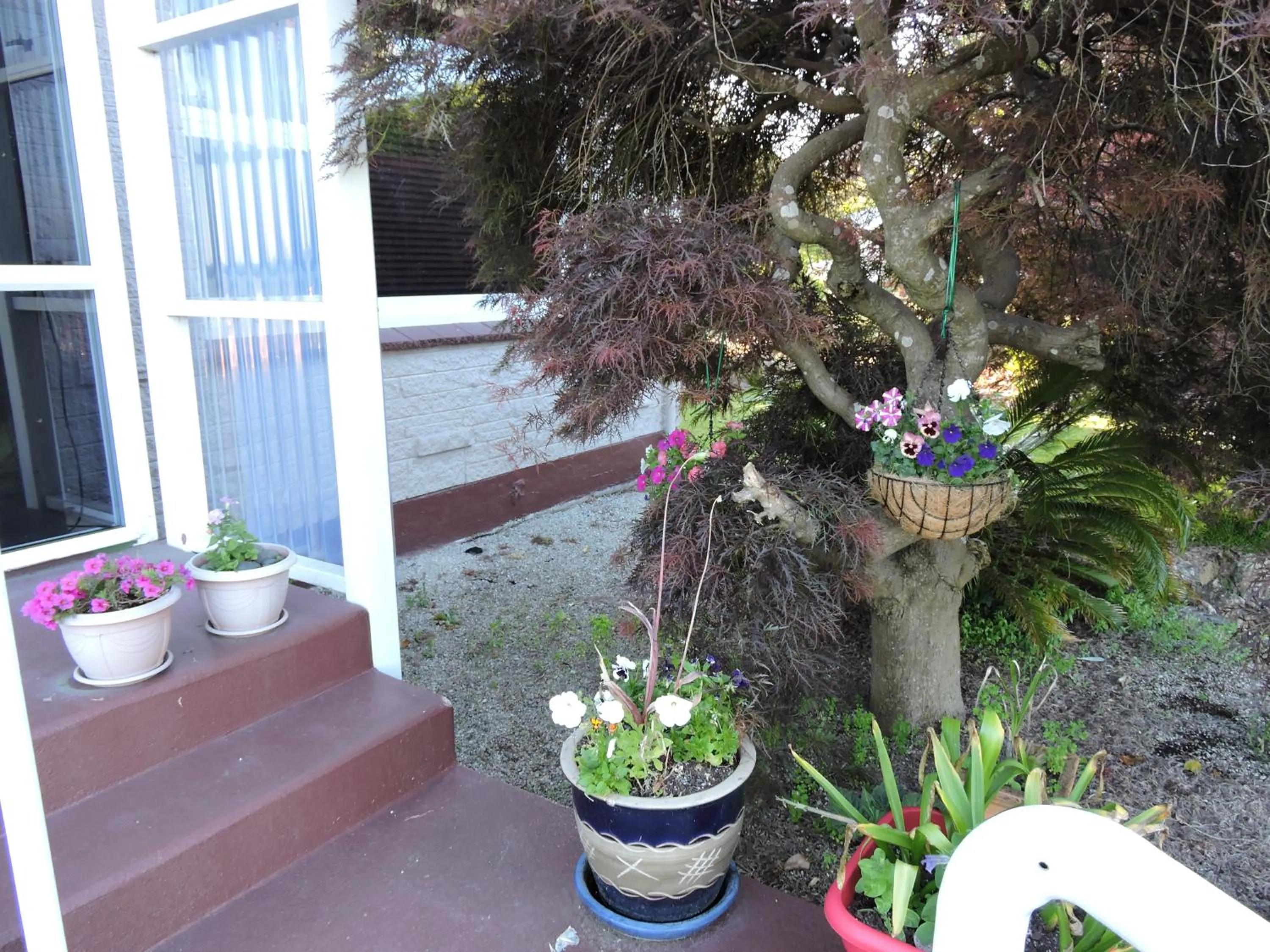 Garden in Maple Lodge Motel