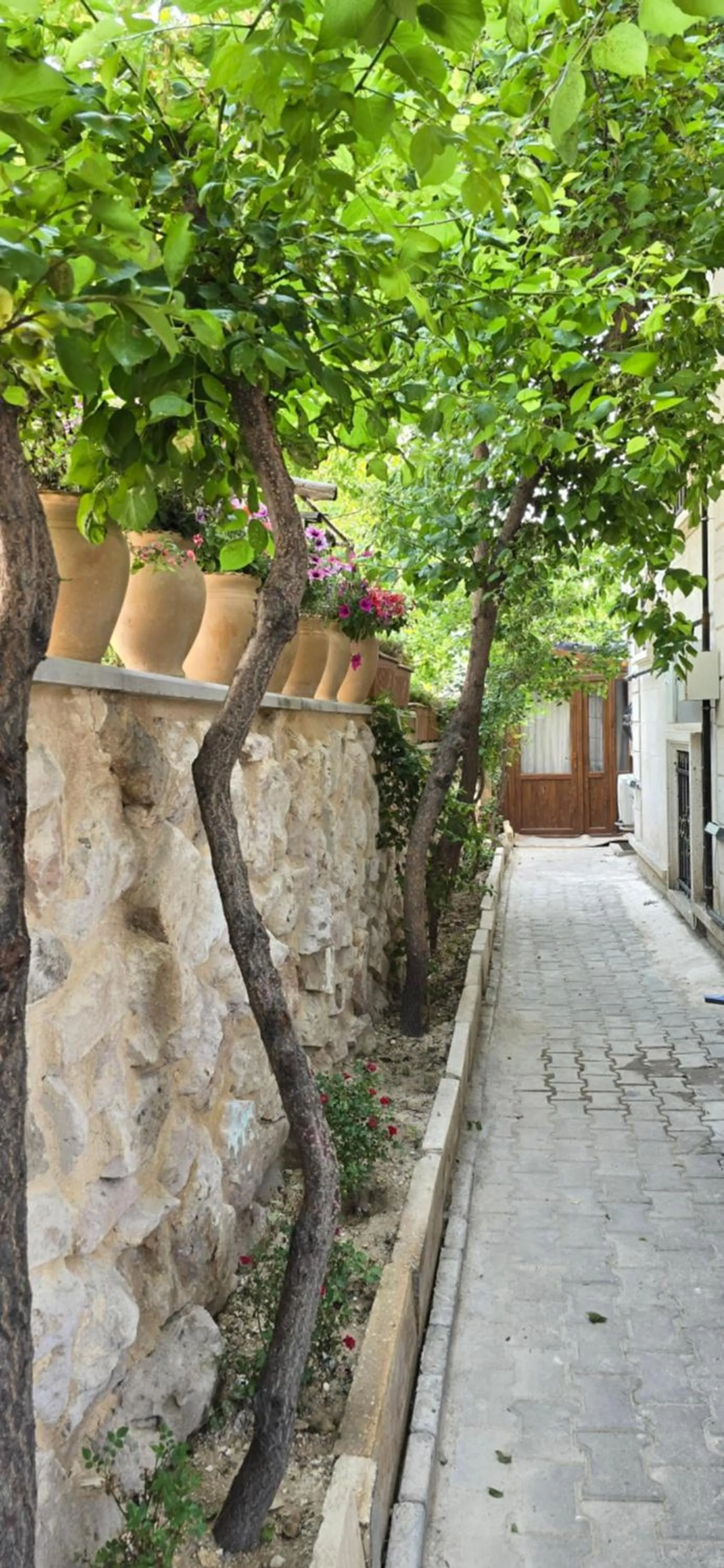 Garden in Cappadocia Divin House