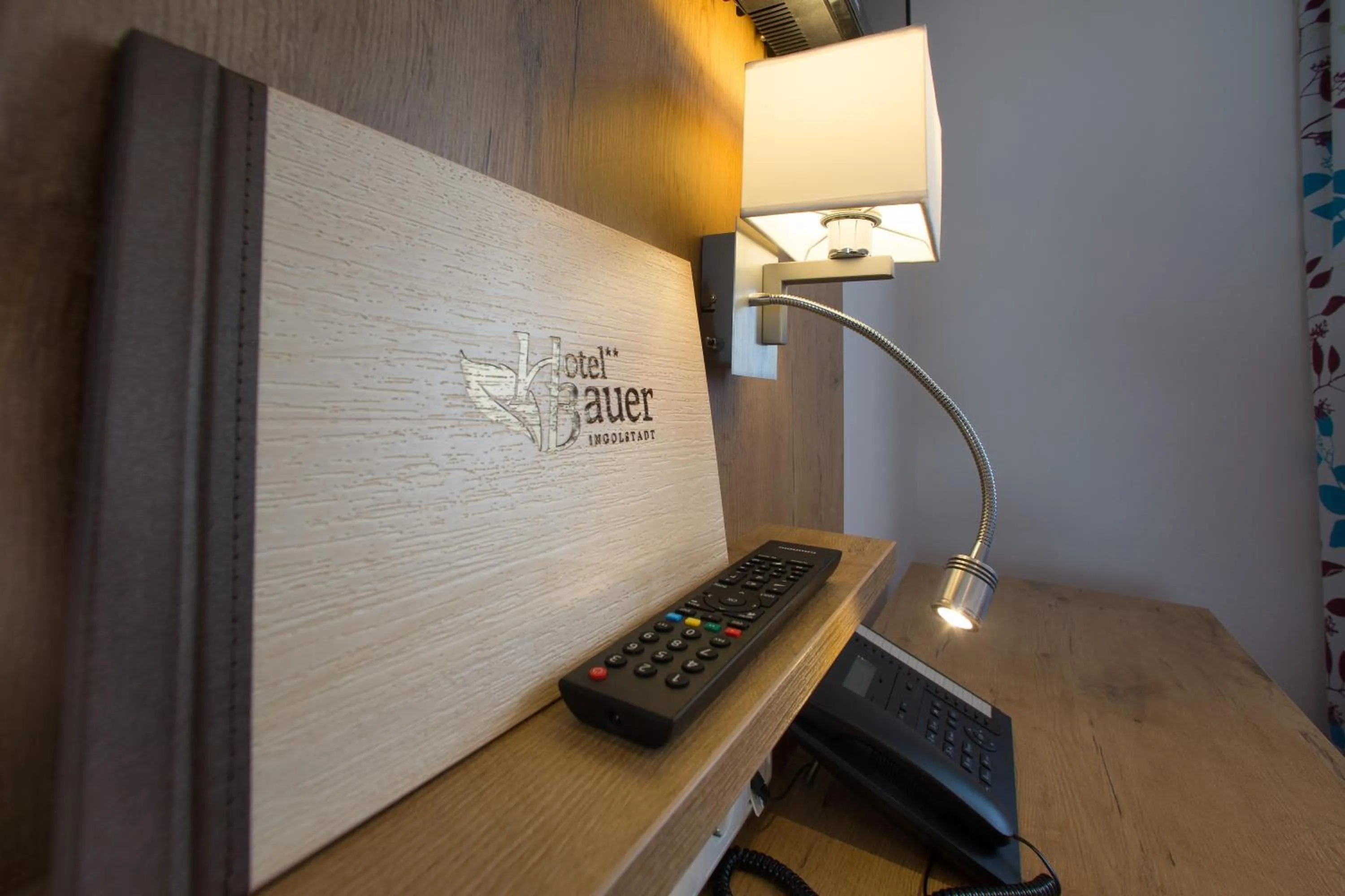 TV and multimedia in Hotel Bauer garni