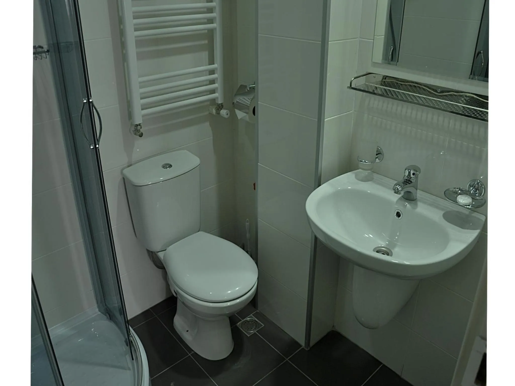 Toilet in Monte Hotel