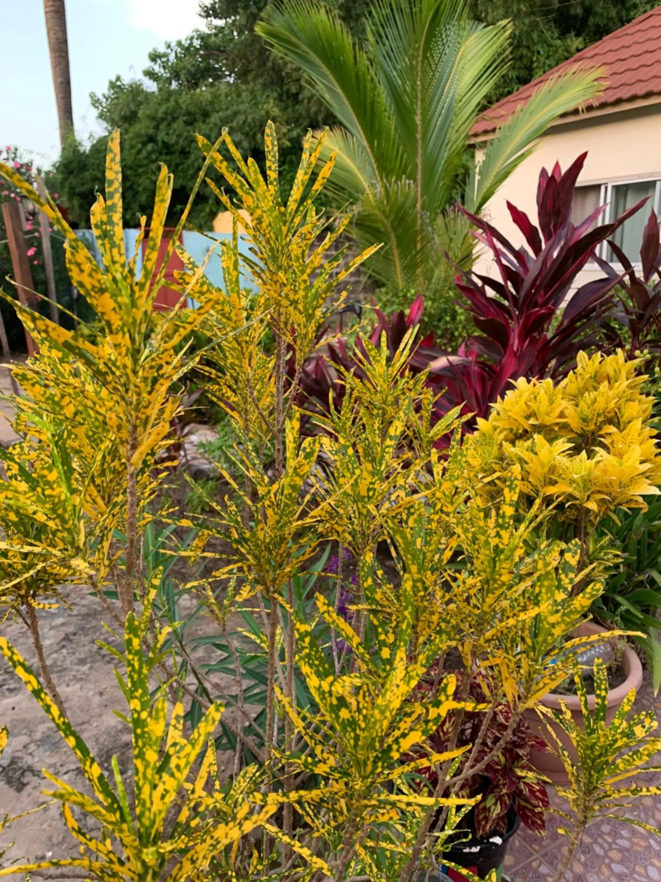 The Gunjur Project Lodge