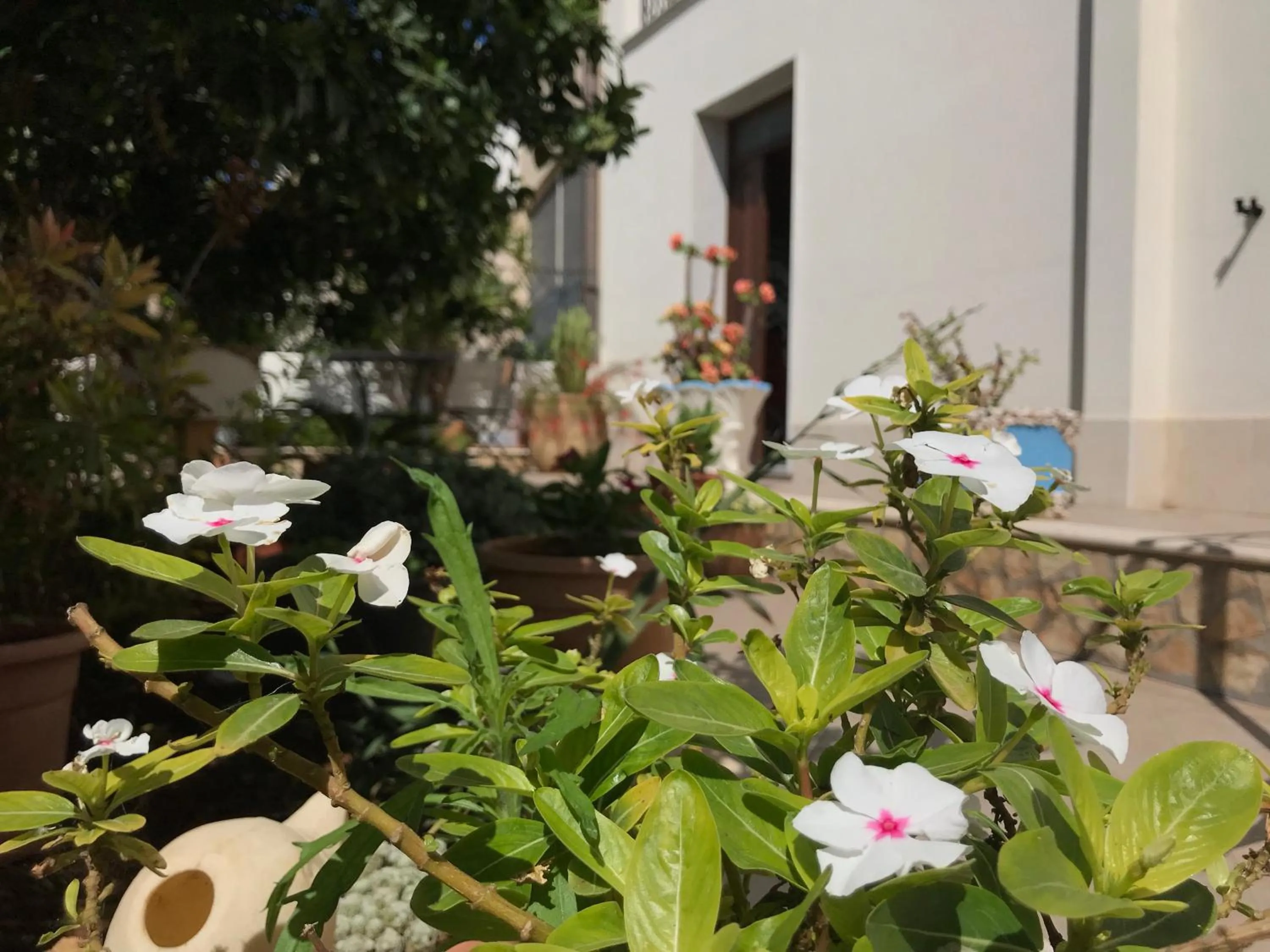 Facade/entrance in El Nur Bed & Breakfast