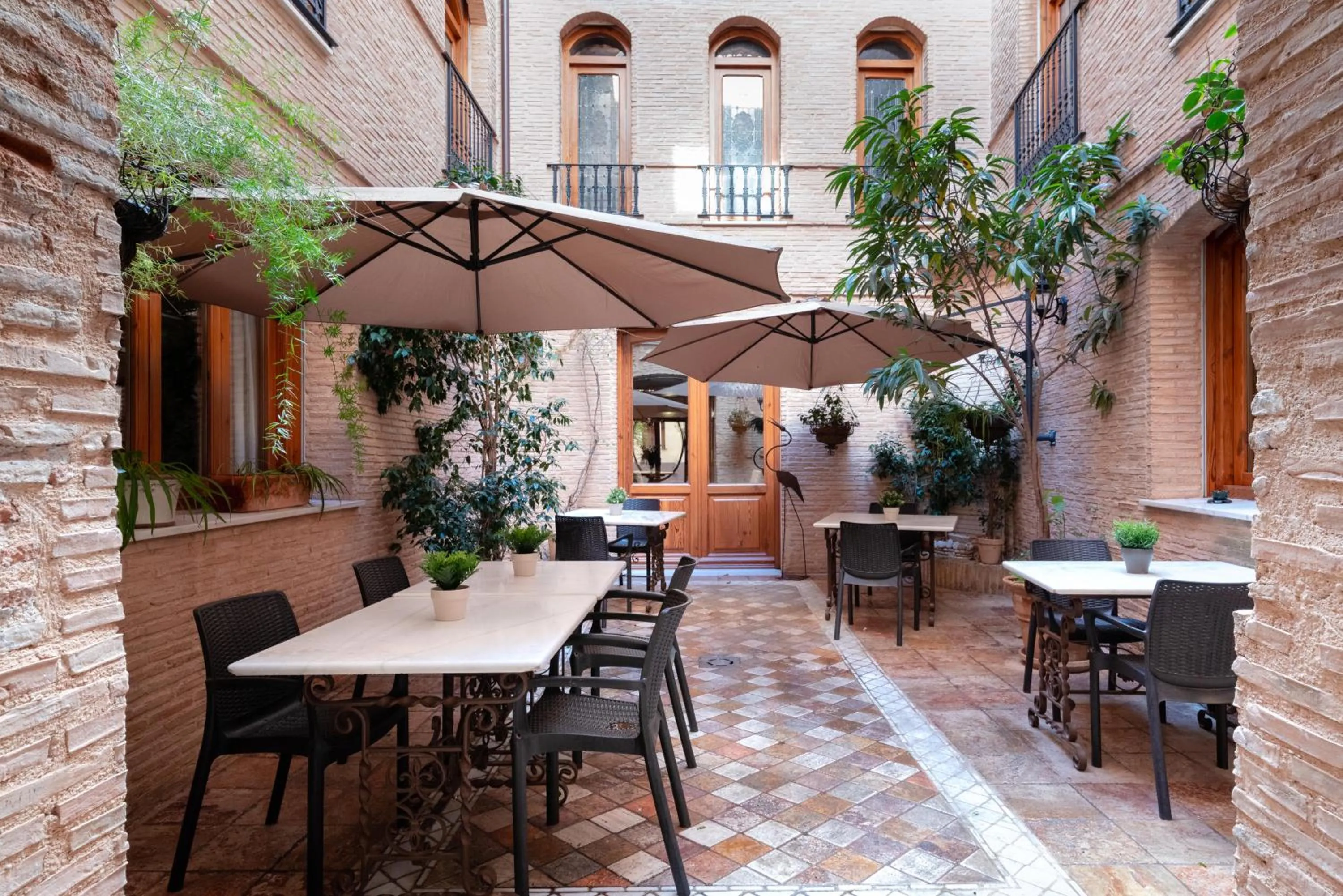 Balcony/Terrace in Hotel Casa Babel