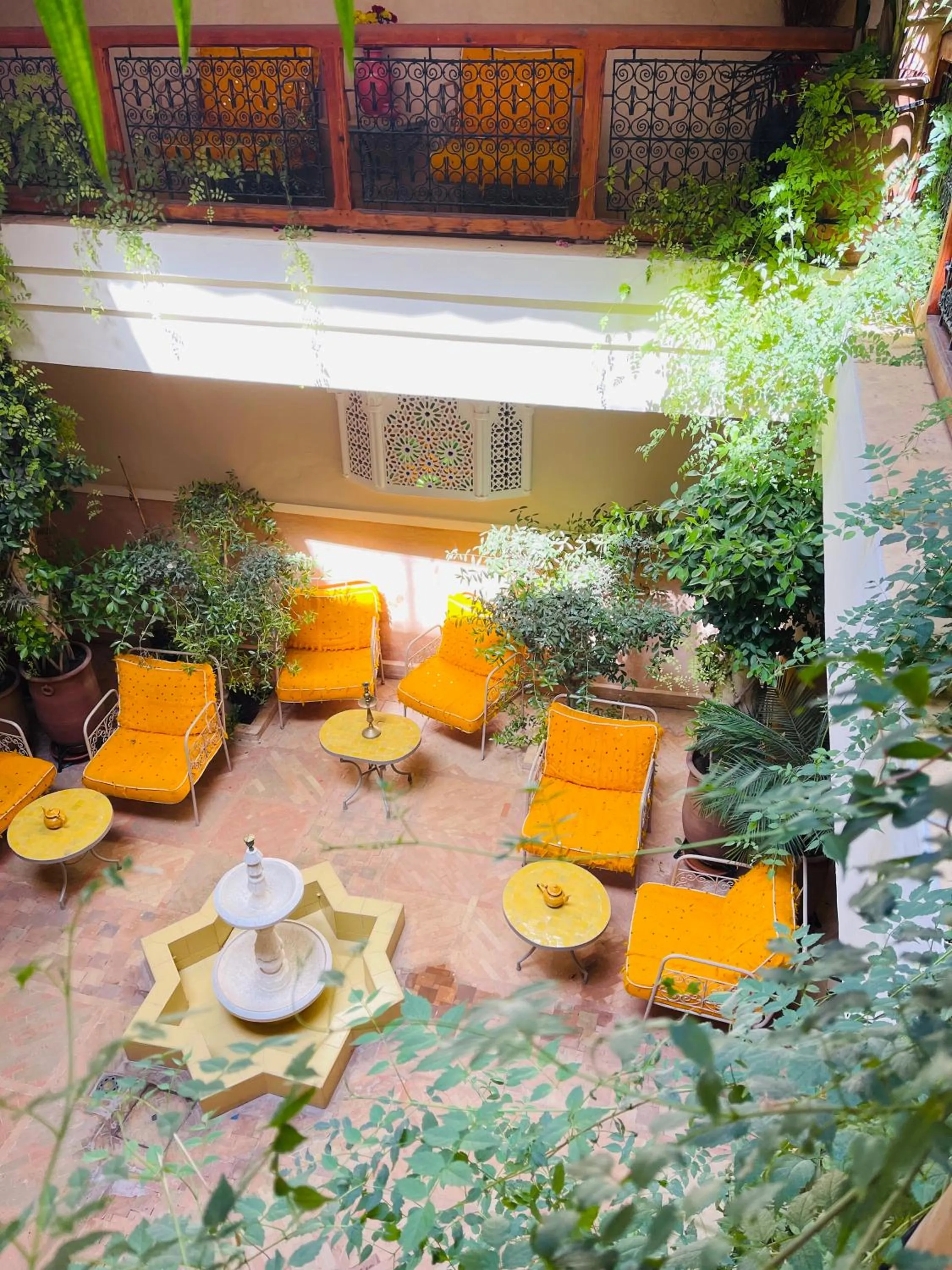 Garden in Riad La Calèche