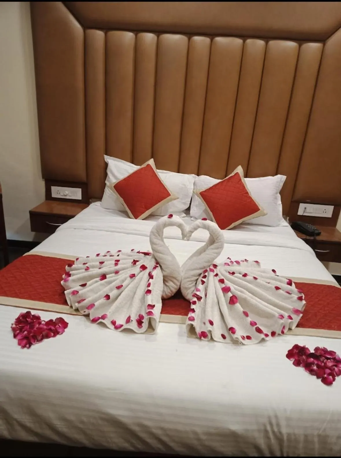 Photo of the whole room in Hotel New Holiday