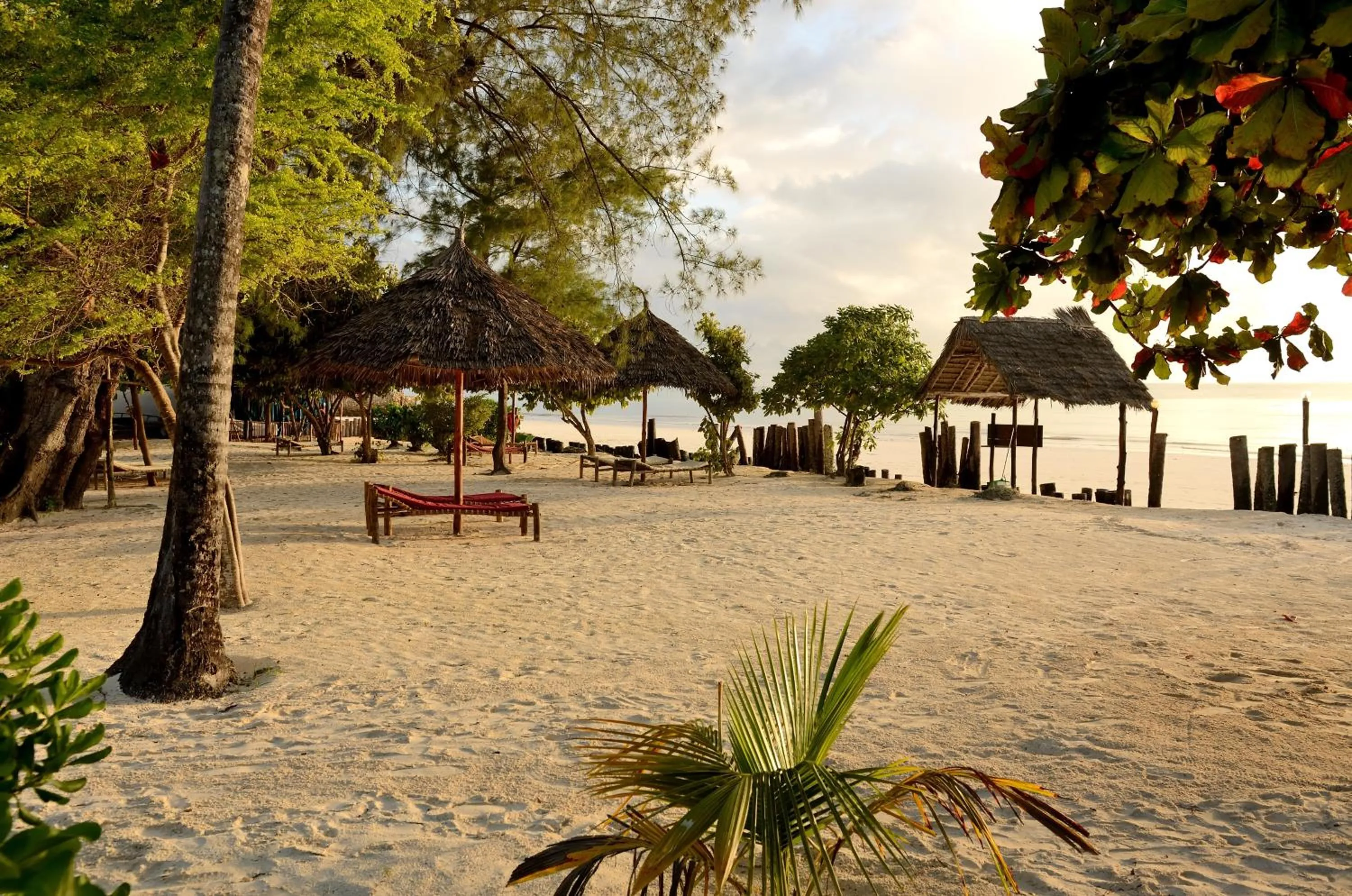 Beach in Kaure Sand Beach Lodge