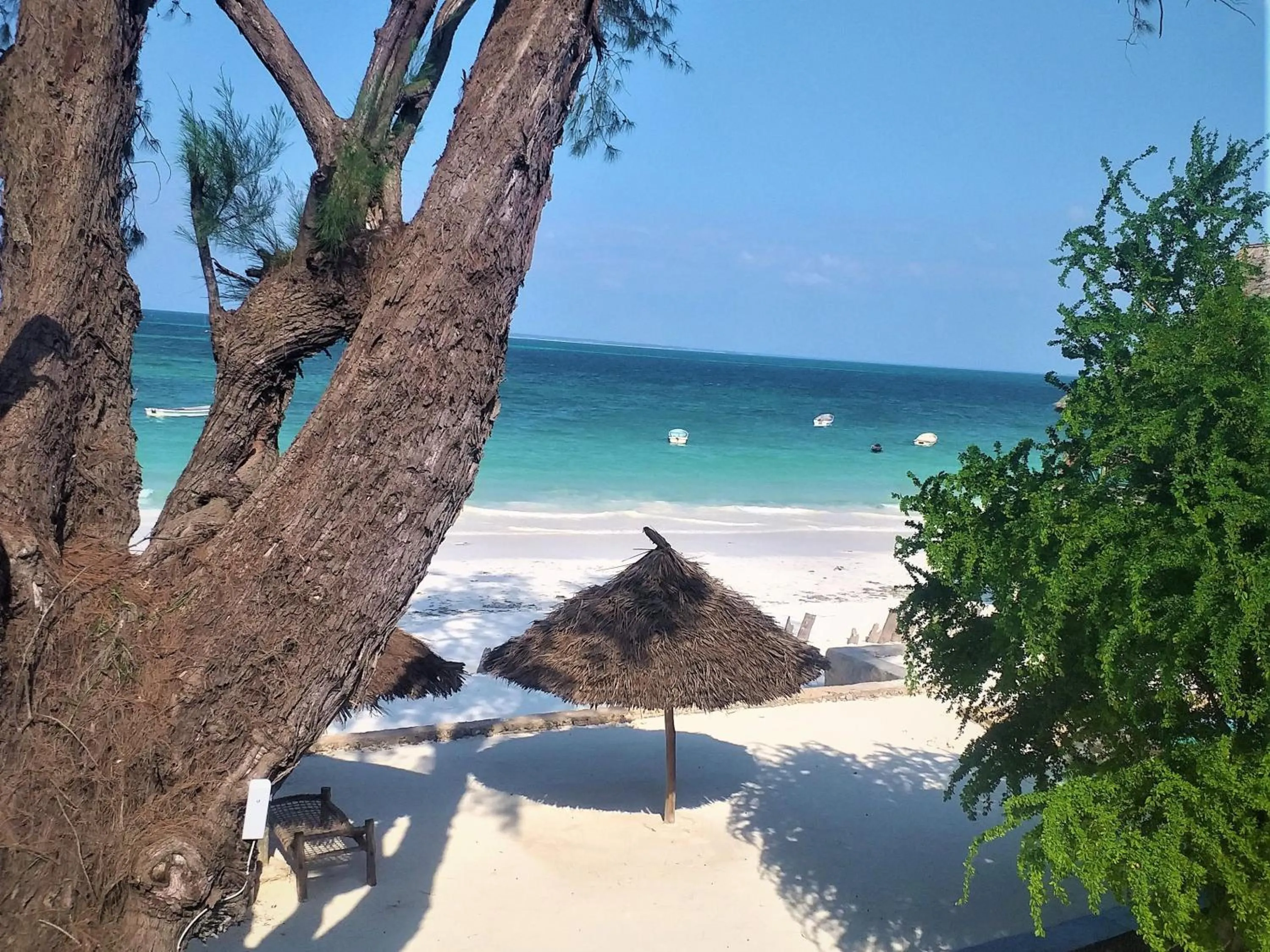 Beach in Kaure Sand Beach Lodge