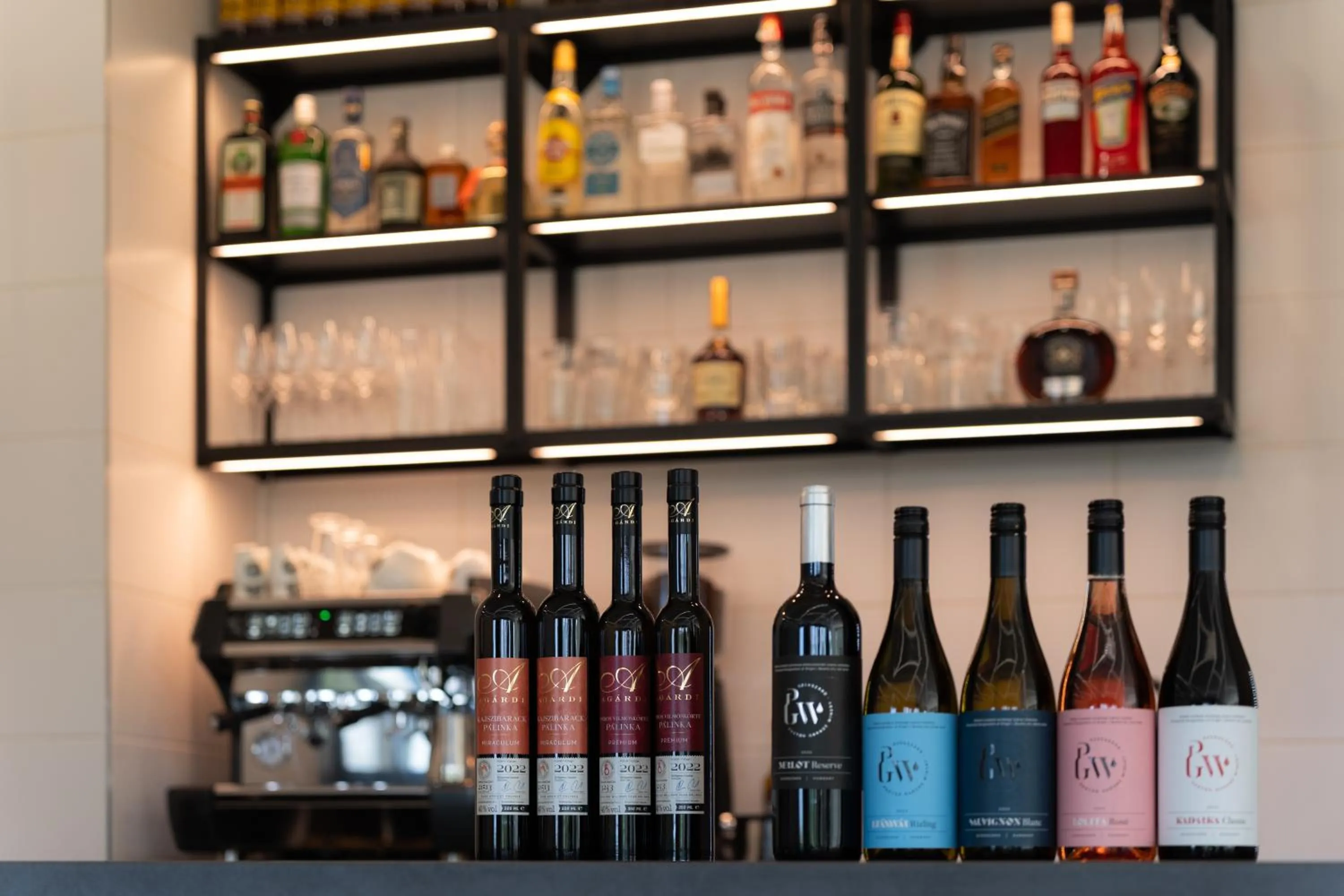 Lounge or bar in Airport Budapest Noa Panzió Noa Hotel