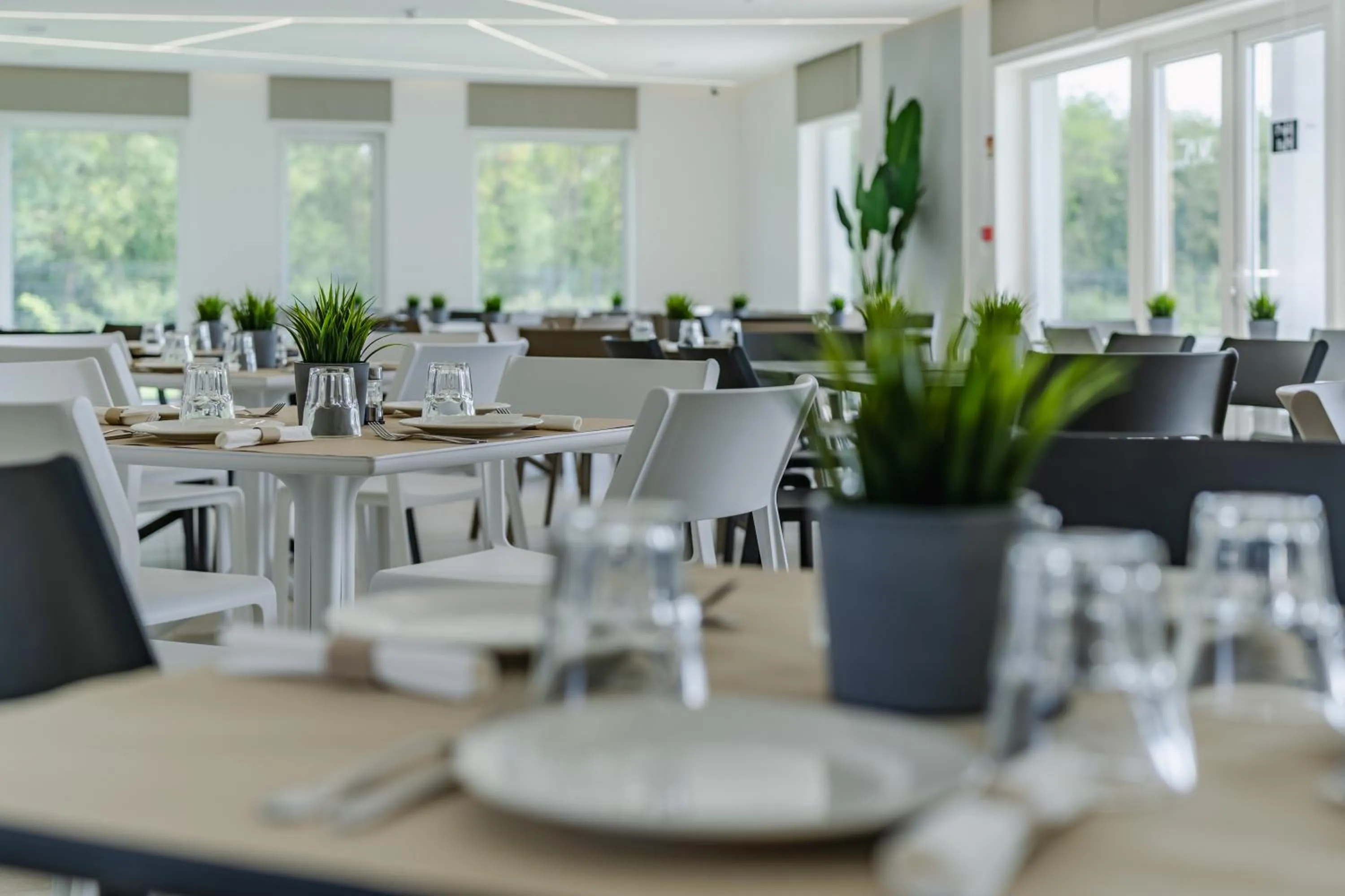 Breakfast in Airport Budapest Noa Panzió Noa Hotel