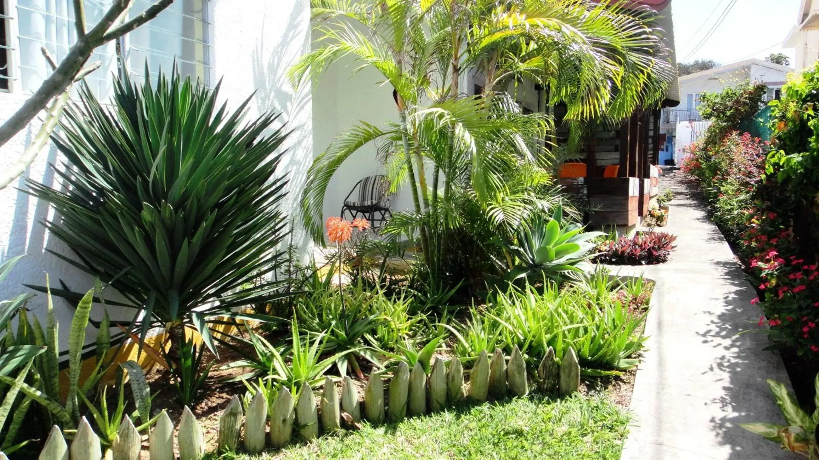 Apartment with Terrace in Colibri Beach Villas Apartment with Terrace in Colibri Beach Villas