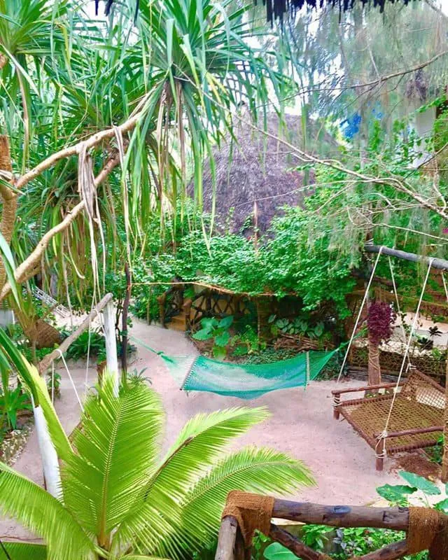 Garden in Casa Umoja