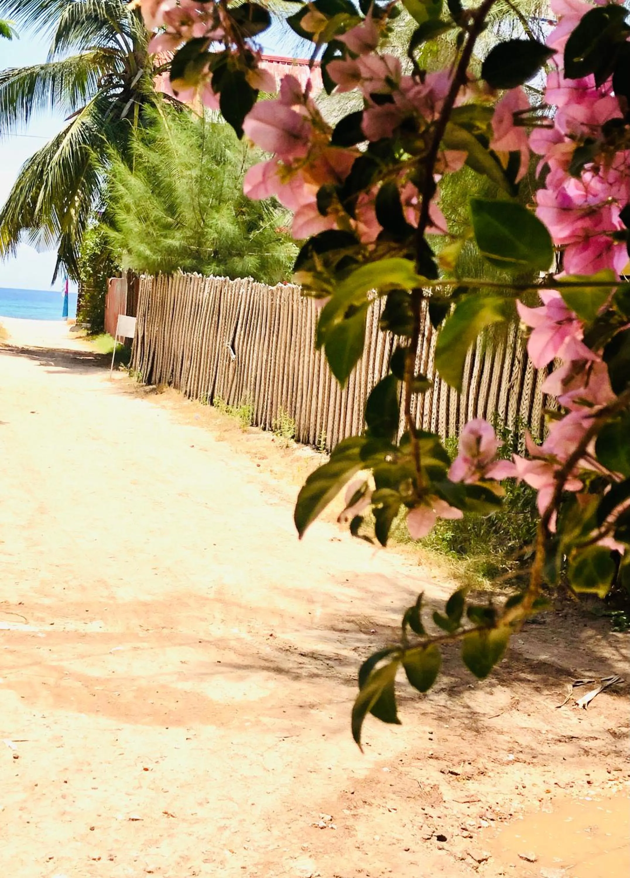 Beach in Casa Umoja