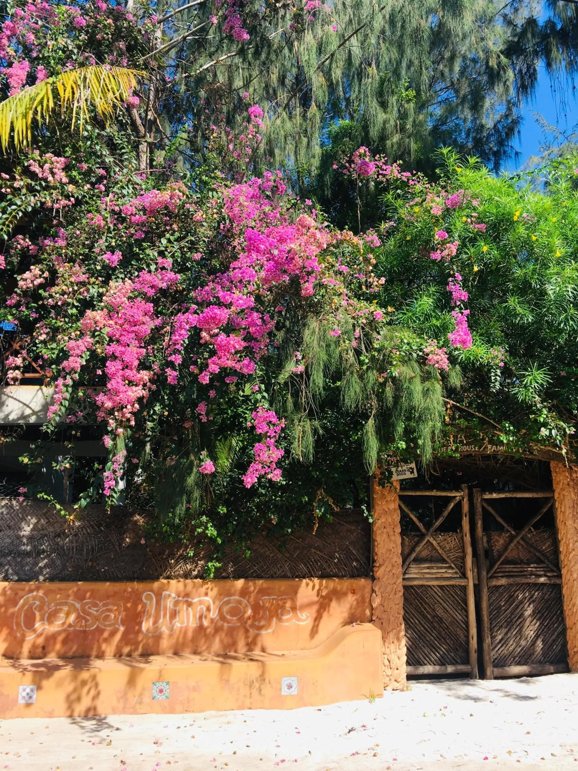 Facade/entrance in Casa Umoja