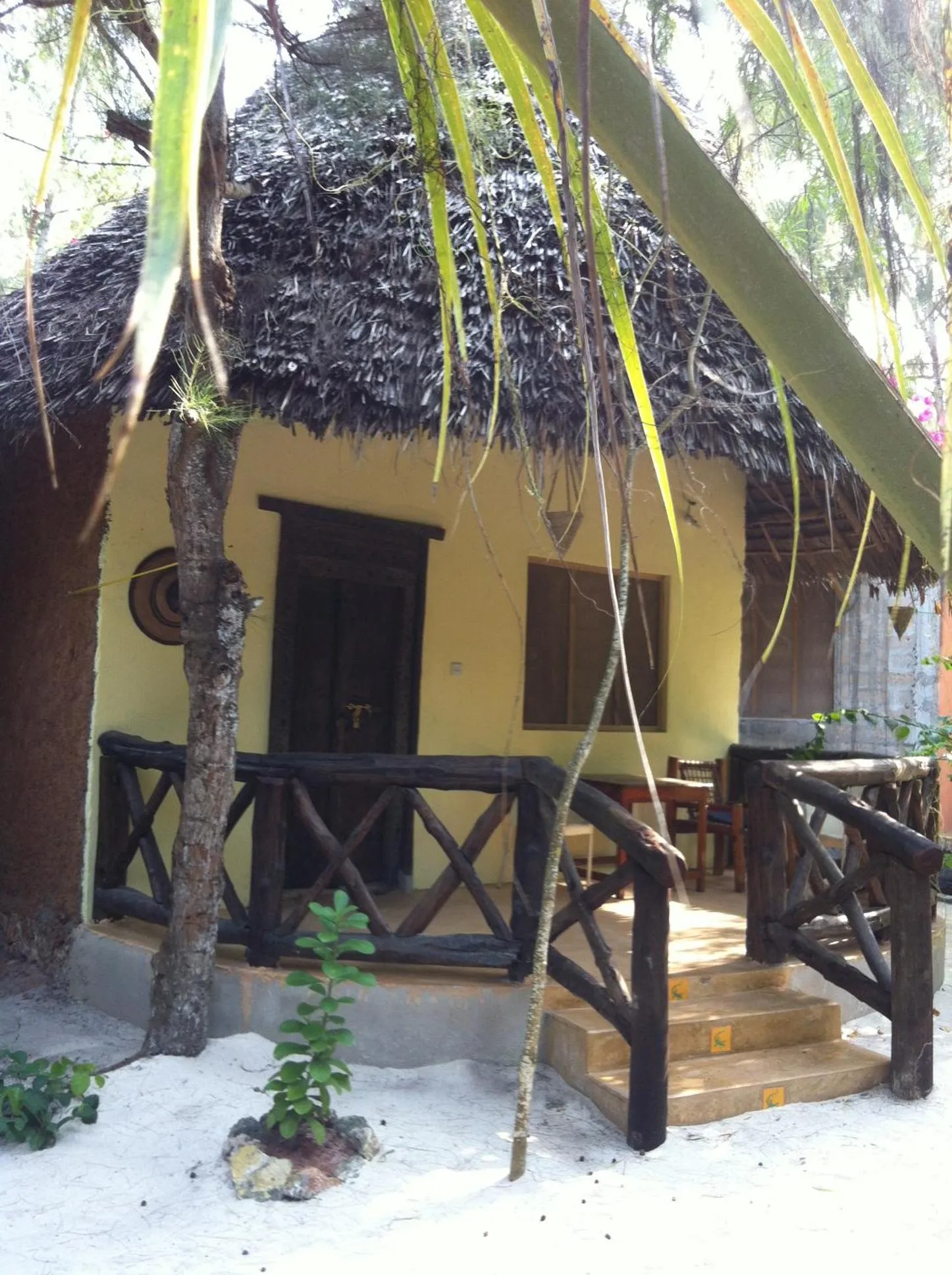 Property building in Casa Umoja