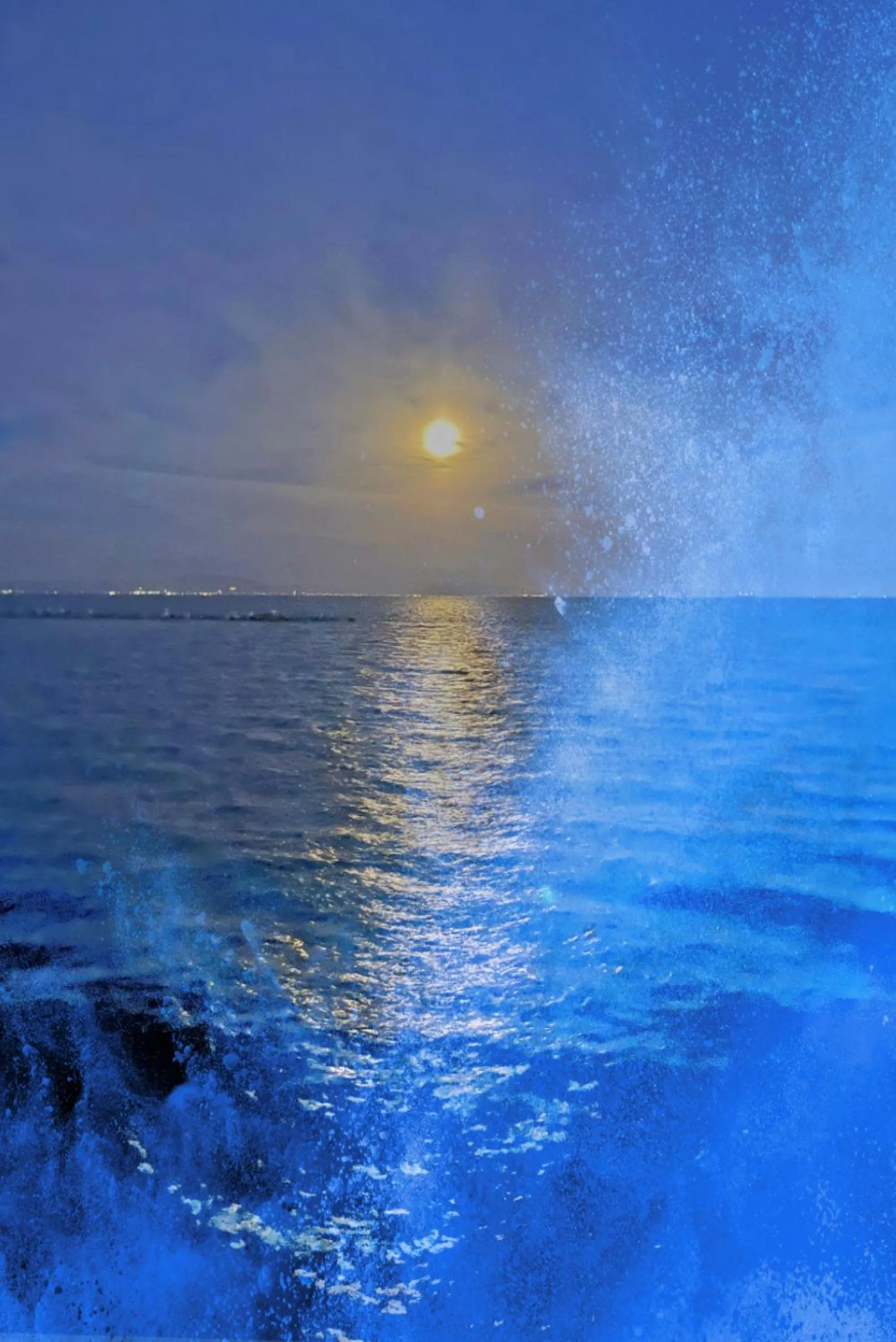 Activities in Oceanfront Villa Hale Kahakai プライベートサウナ