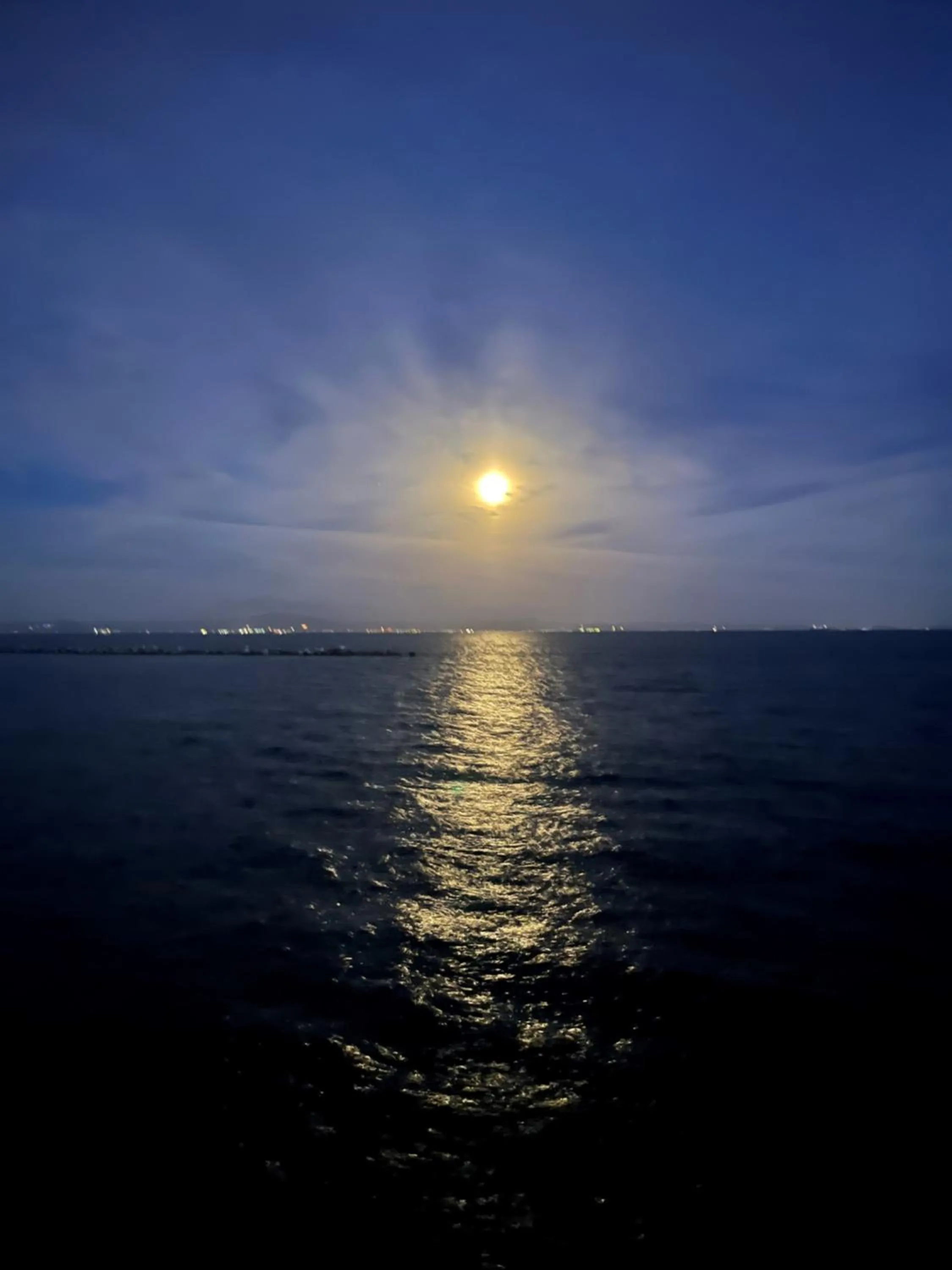 Activities in Oceanfront Villa Hale Kahakai プライベートサウナ